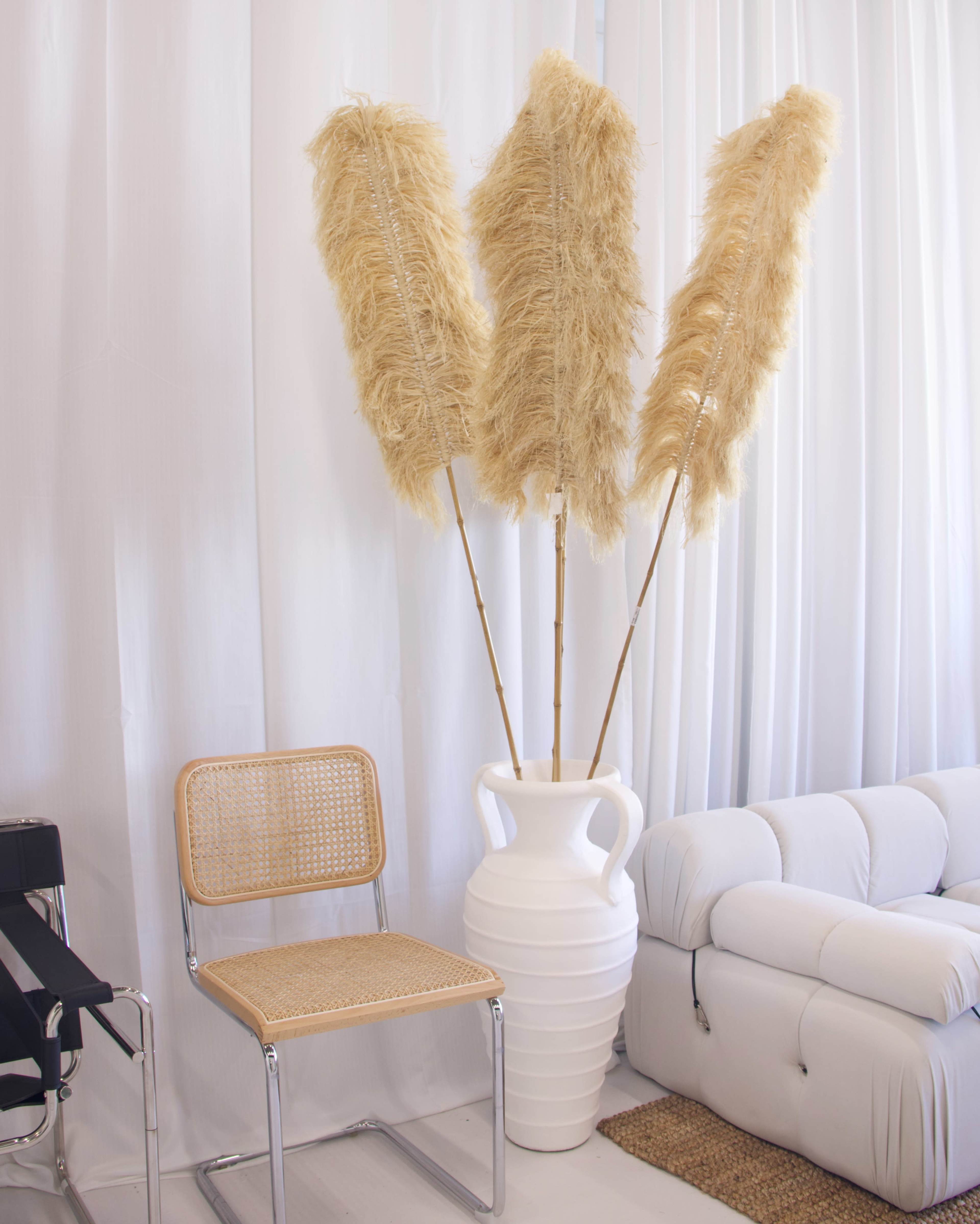 The image features a modern living space with a white sofa, a woven chair, and three tall, dried pampas grass arrangements in a white vase against a backdrop of white curtains.