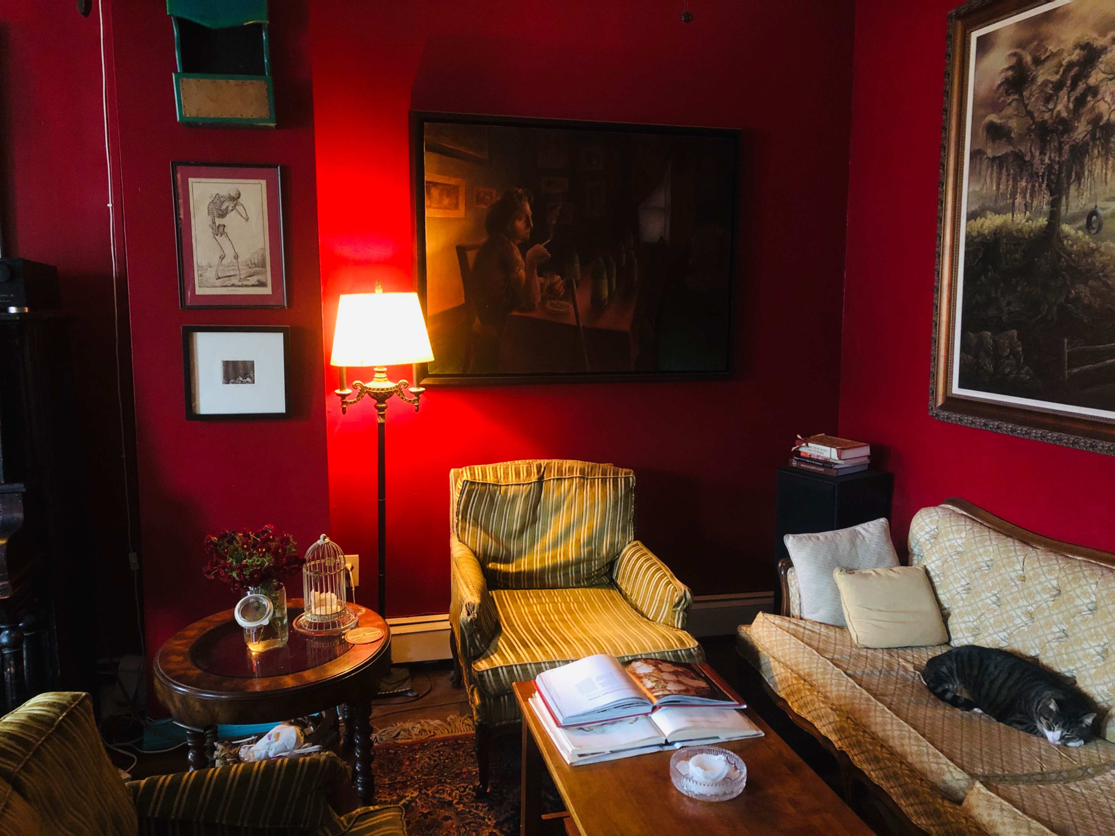 The room features red walls, a lamp illuminating a seating area with striped chairs, a coffee table with an open book, and a cat resting on a sofa.