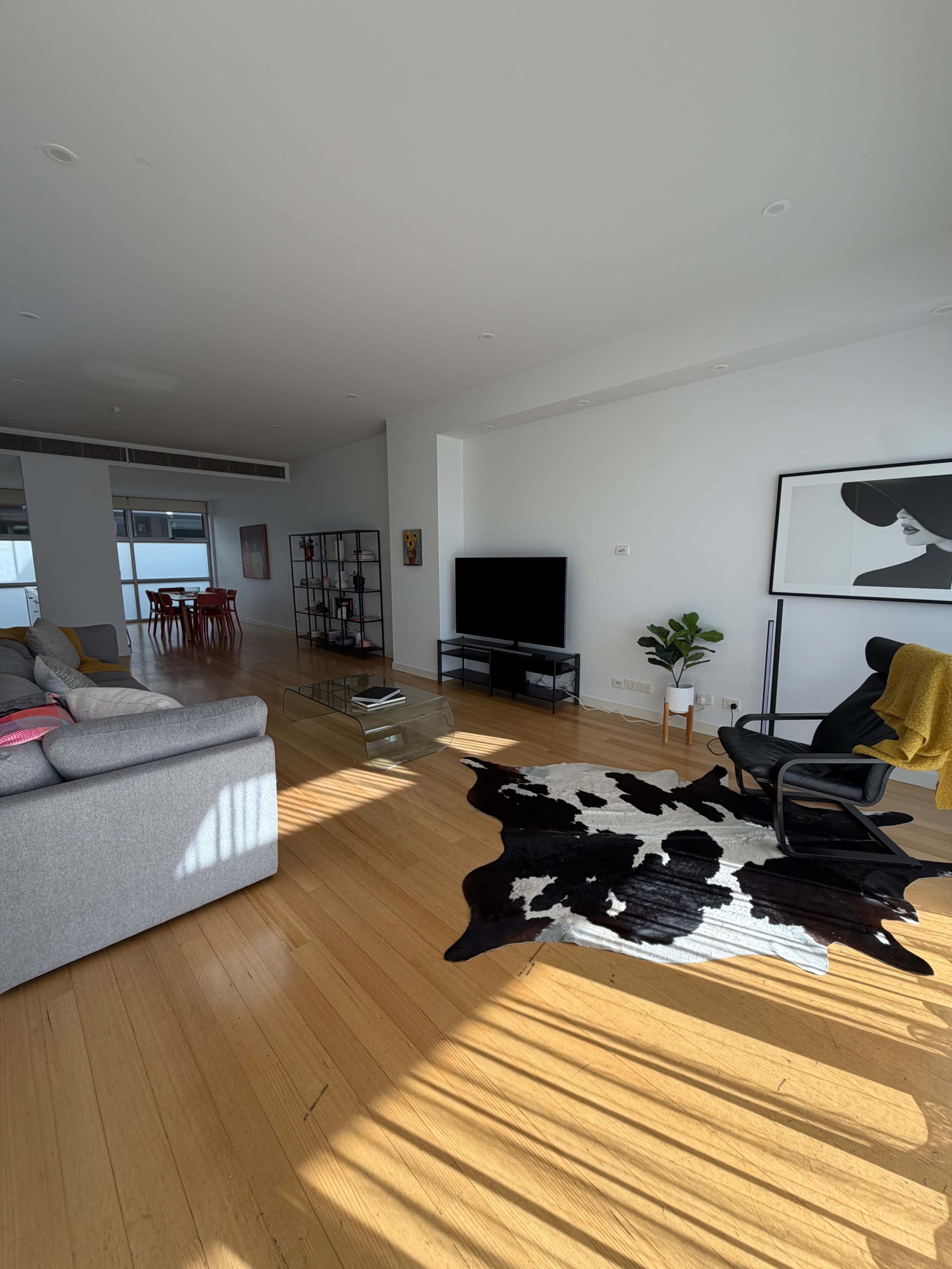 The image shows a modern living room with a gray sofa, a black television, and a cowhide rug, all set against hardwood floors and bright sunlight streaming through large windows.