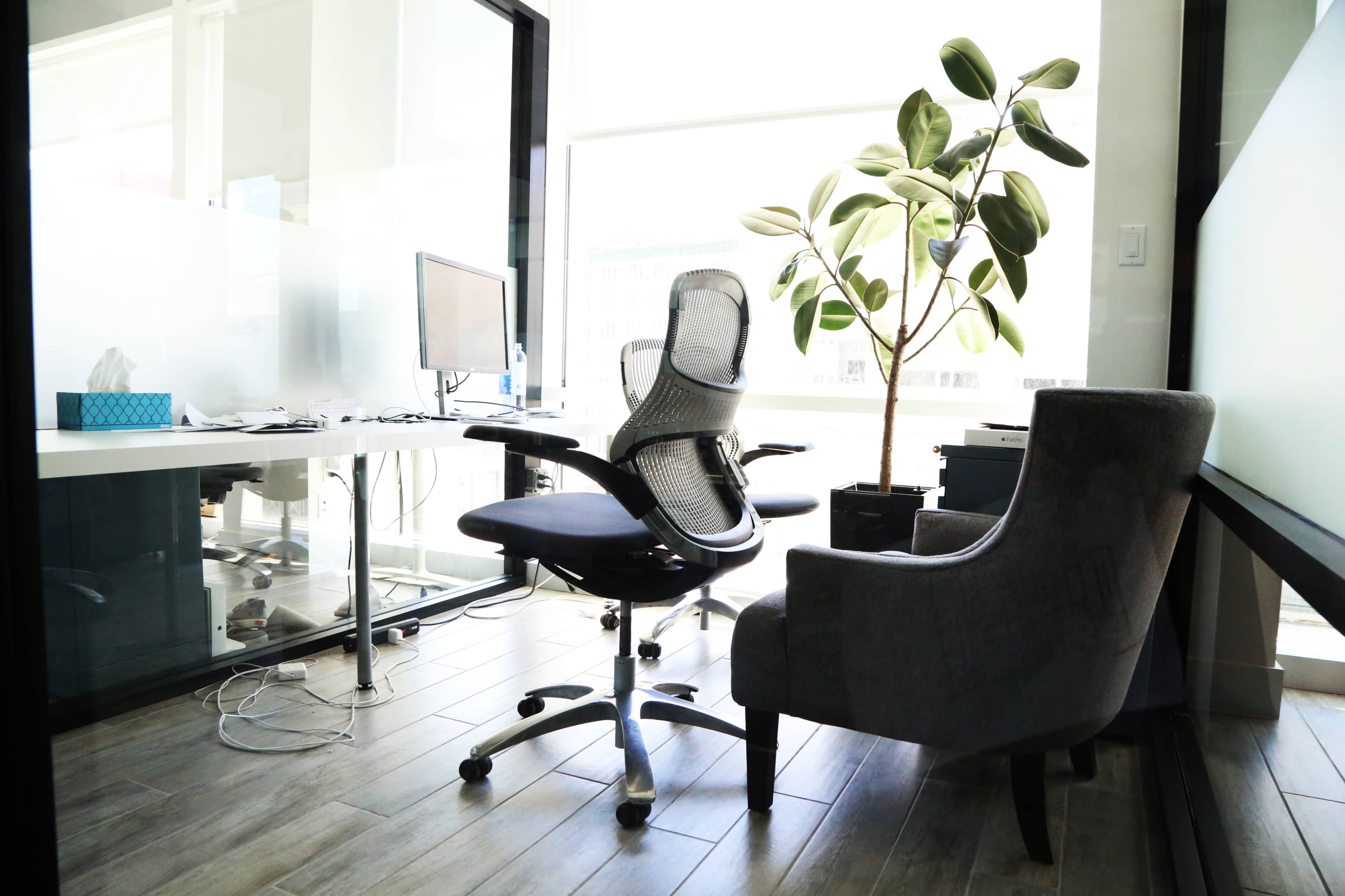An office space features a desk with a computer monitor, an ergonomic chair, and a potted plant beside a cozy armchair.