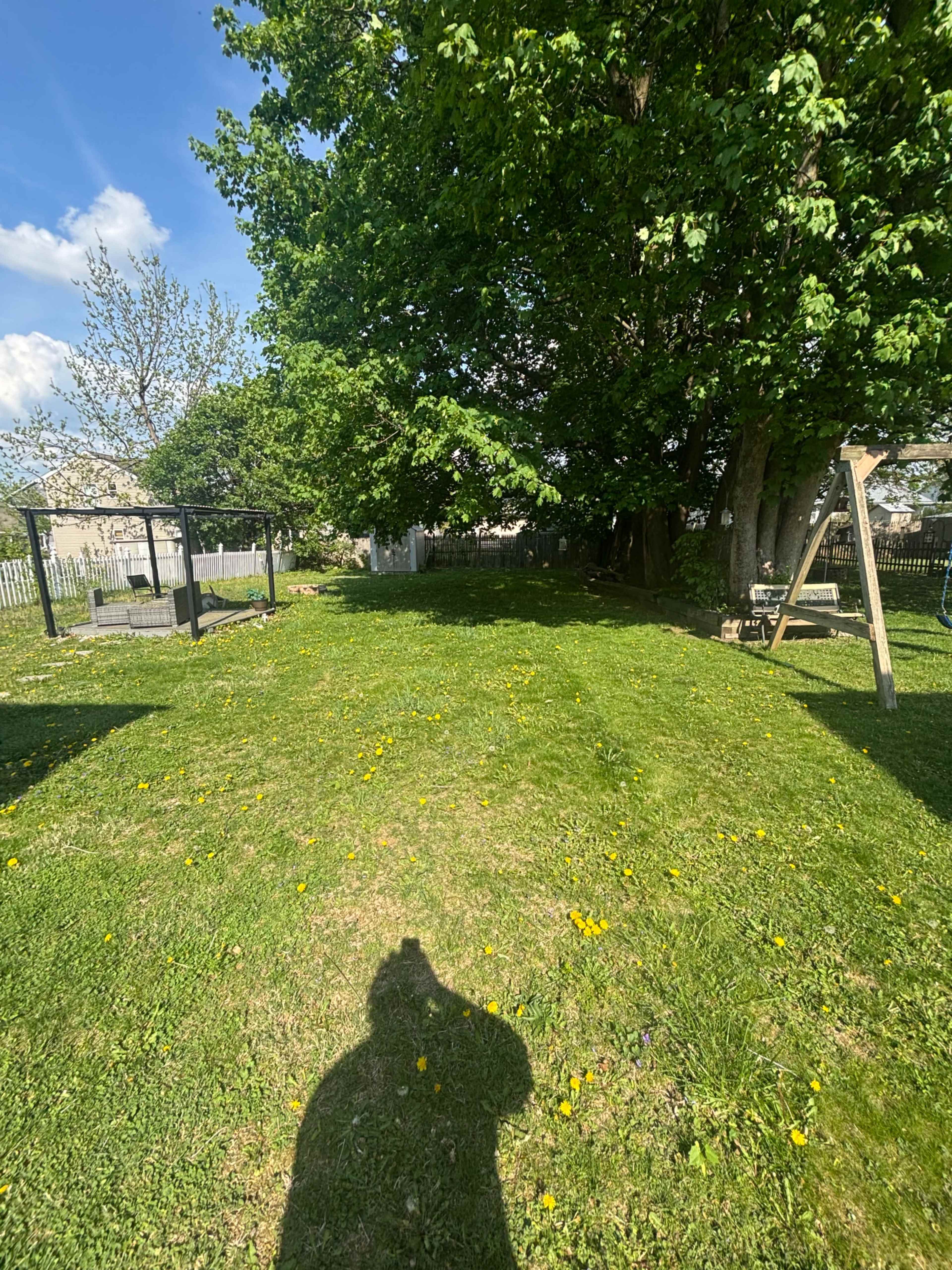 Urban/Suburban Very large private yard with lots of natural light and beautiful trees. Image in South Side, Easton, PA