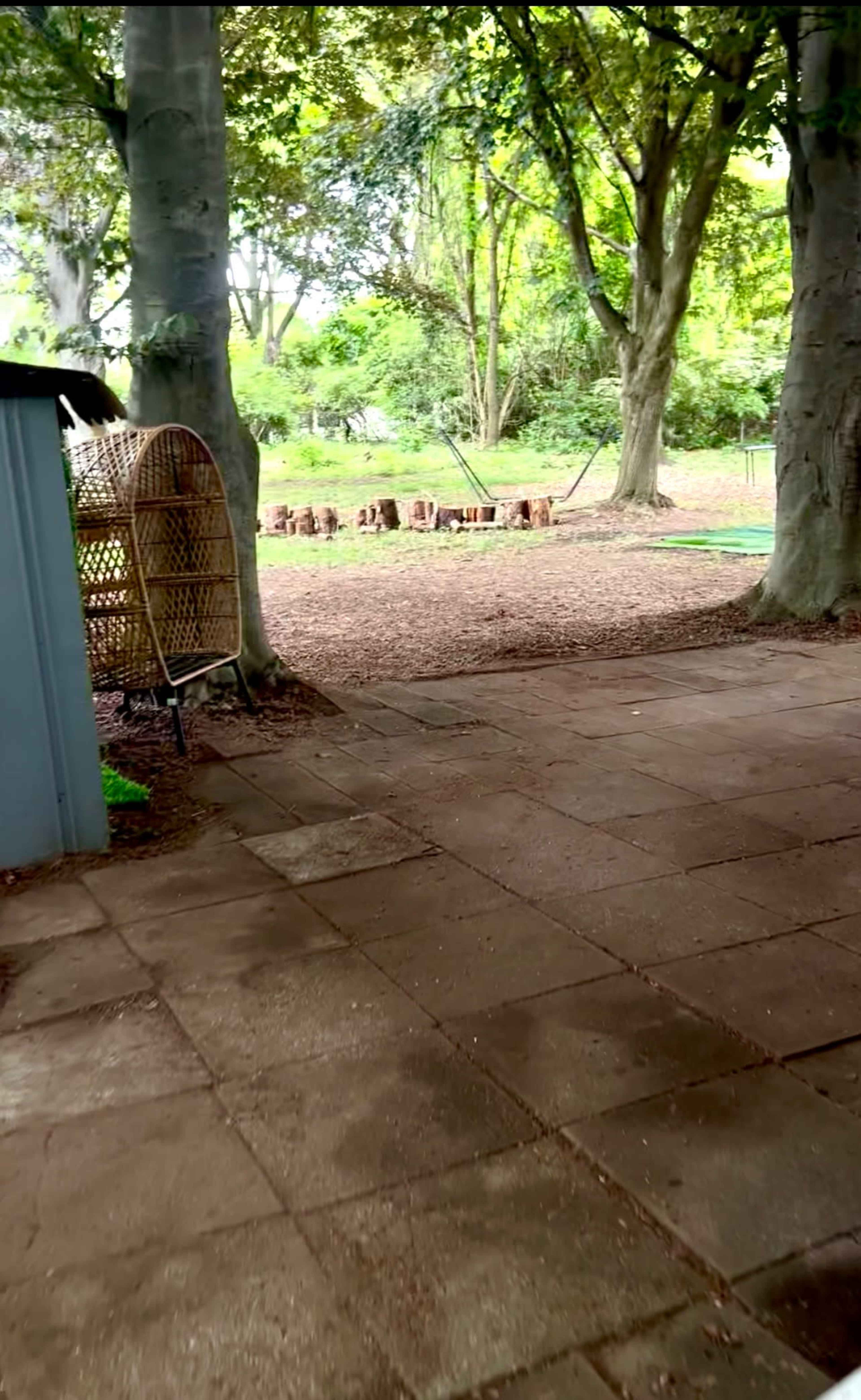 The image shows a paved outdoor area with a storage shed on the left, flanked by trees, leading to a grassy area with logs in the background.
