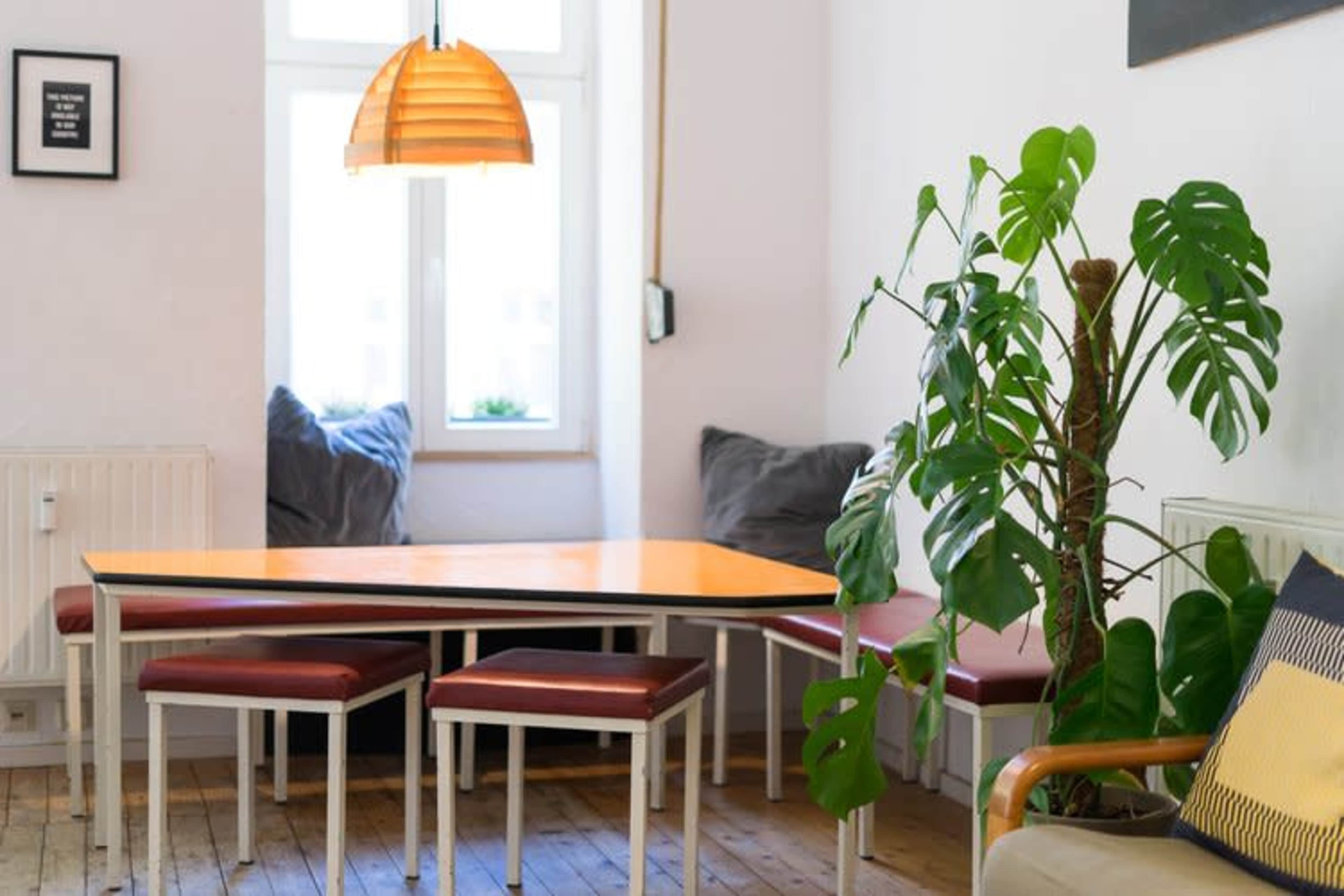 A wooden table with an orange top is surrounded by four chairs in a cozy room featuring a large indoor plant and a pendant lamp.