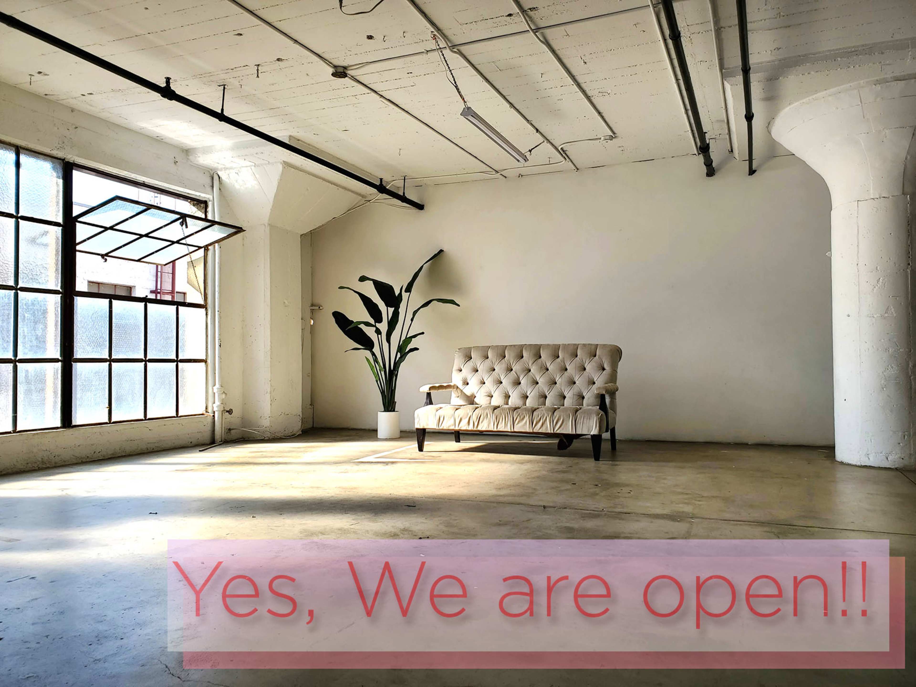 An empty industrial space features a tufted sofa near a large window with natural light and a tall plant in a pot beside it.