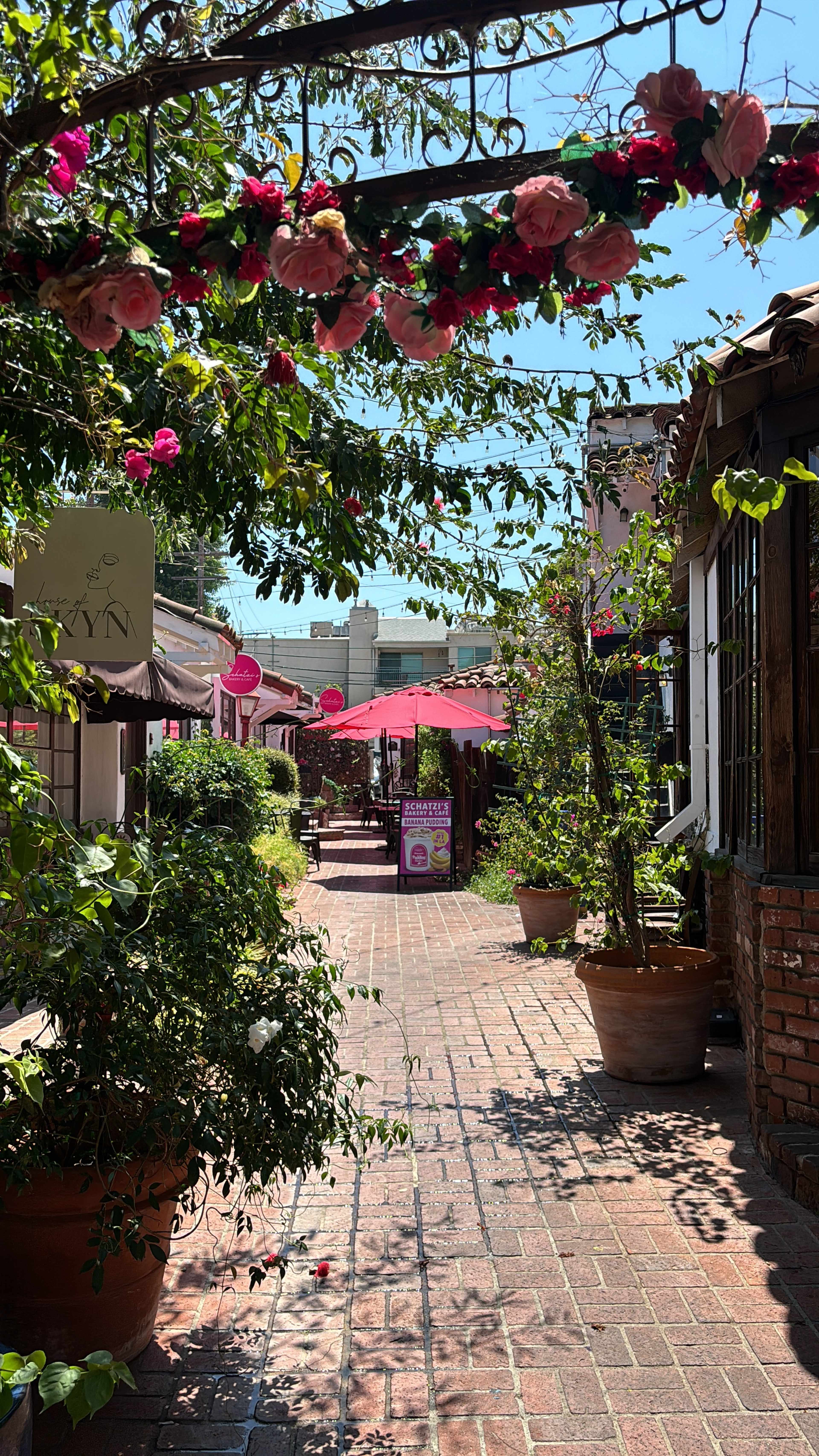 The image shows a brick pathway lined with potted plants and shaded by trees, leading to buildings with outdoor seating shaded by umbrellas.