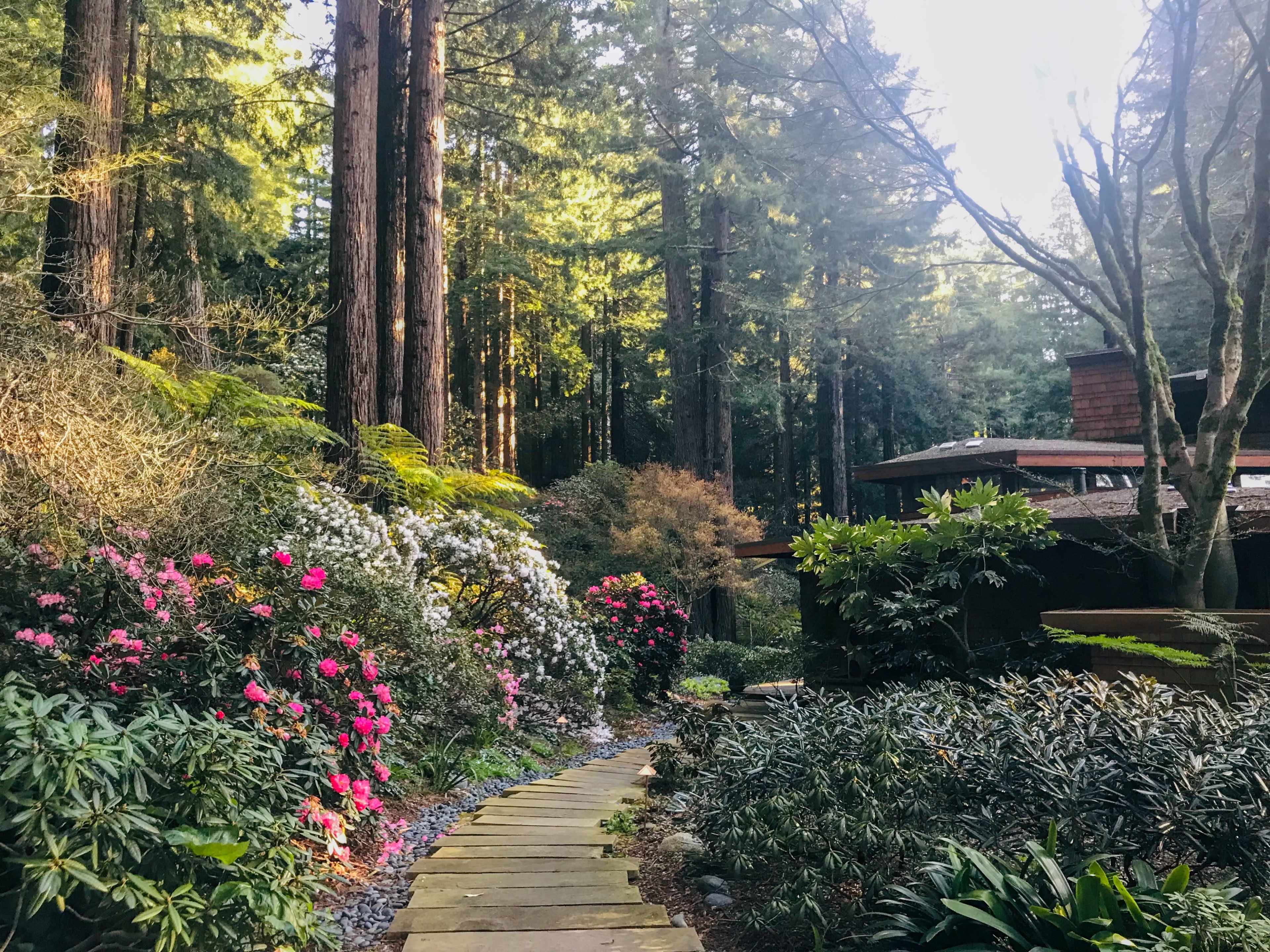 A stone pathway winds through a garden filled with colorful flowers, leading to a cabin surrounded by tall trees.