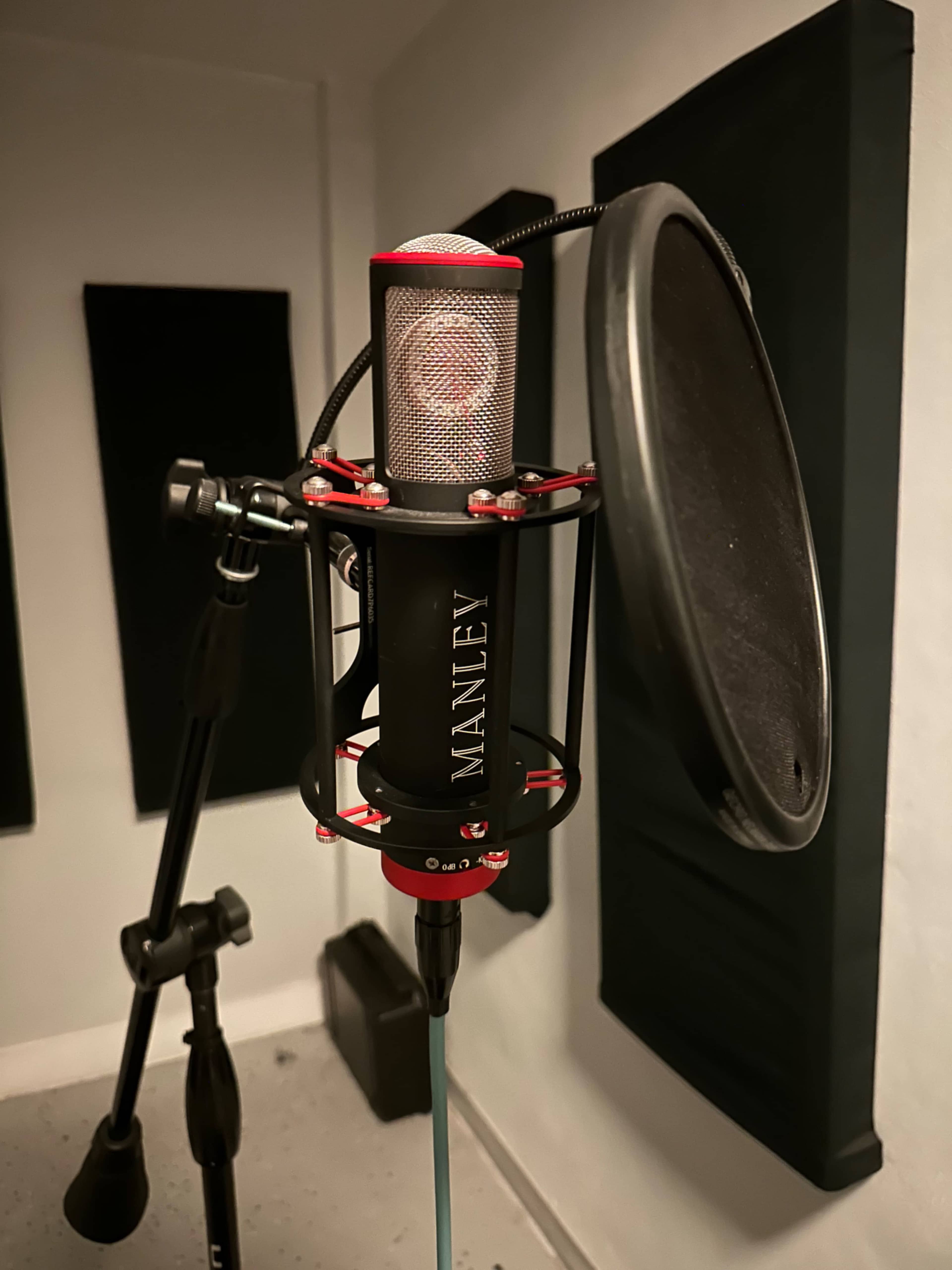 A microphone with a pop filter is positioned in a soundproof recording space.