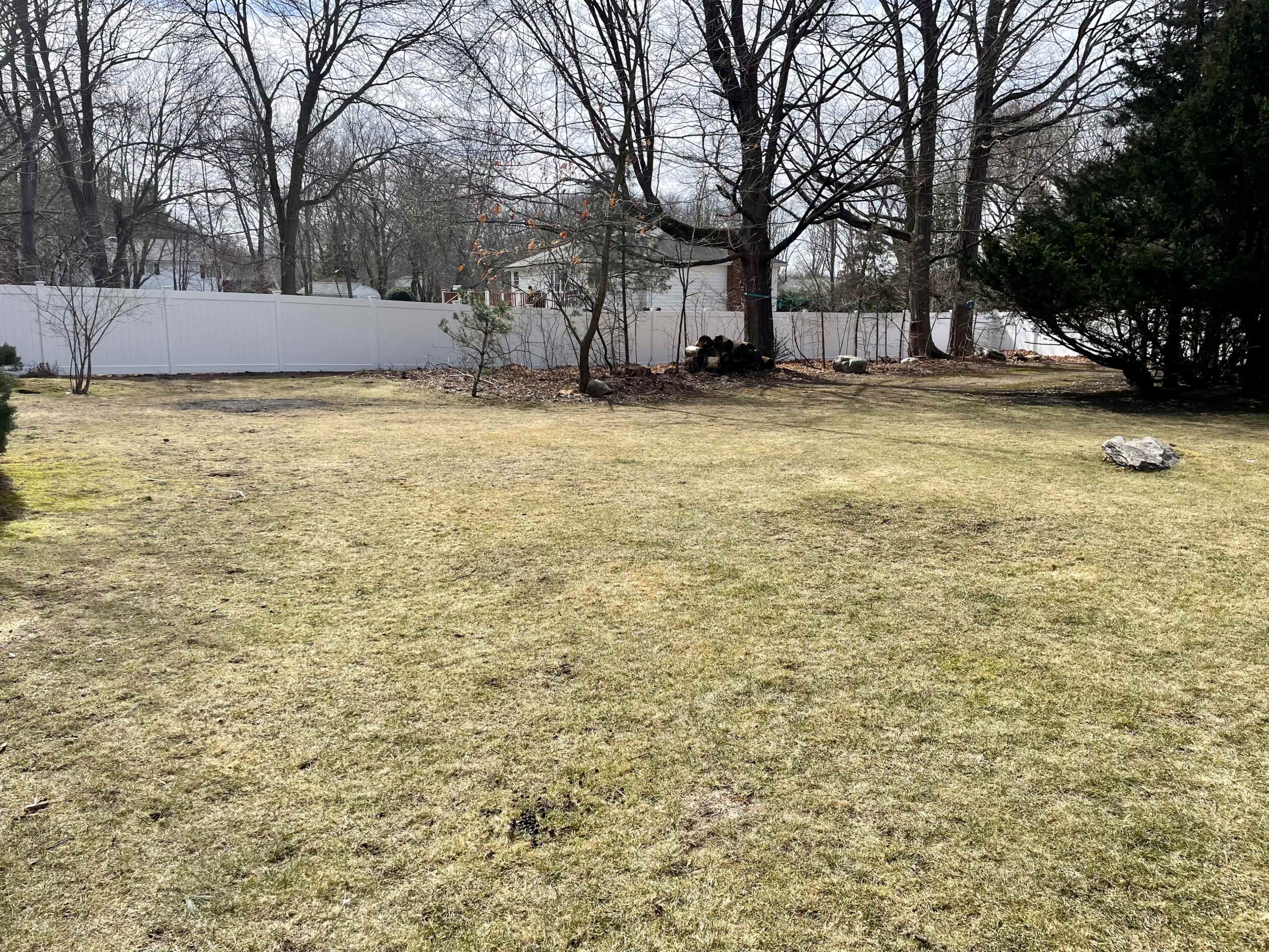 The image shows a grassy yard with bare trees and a white fence in the background.