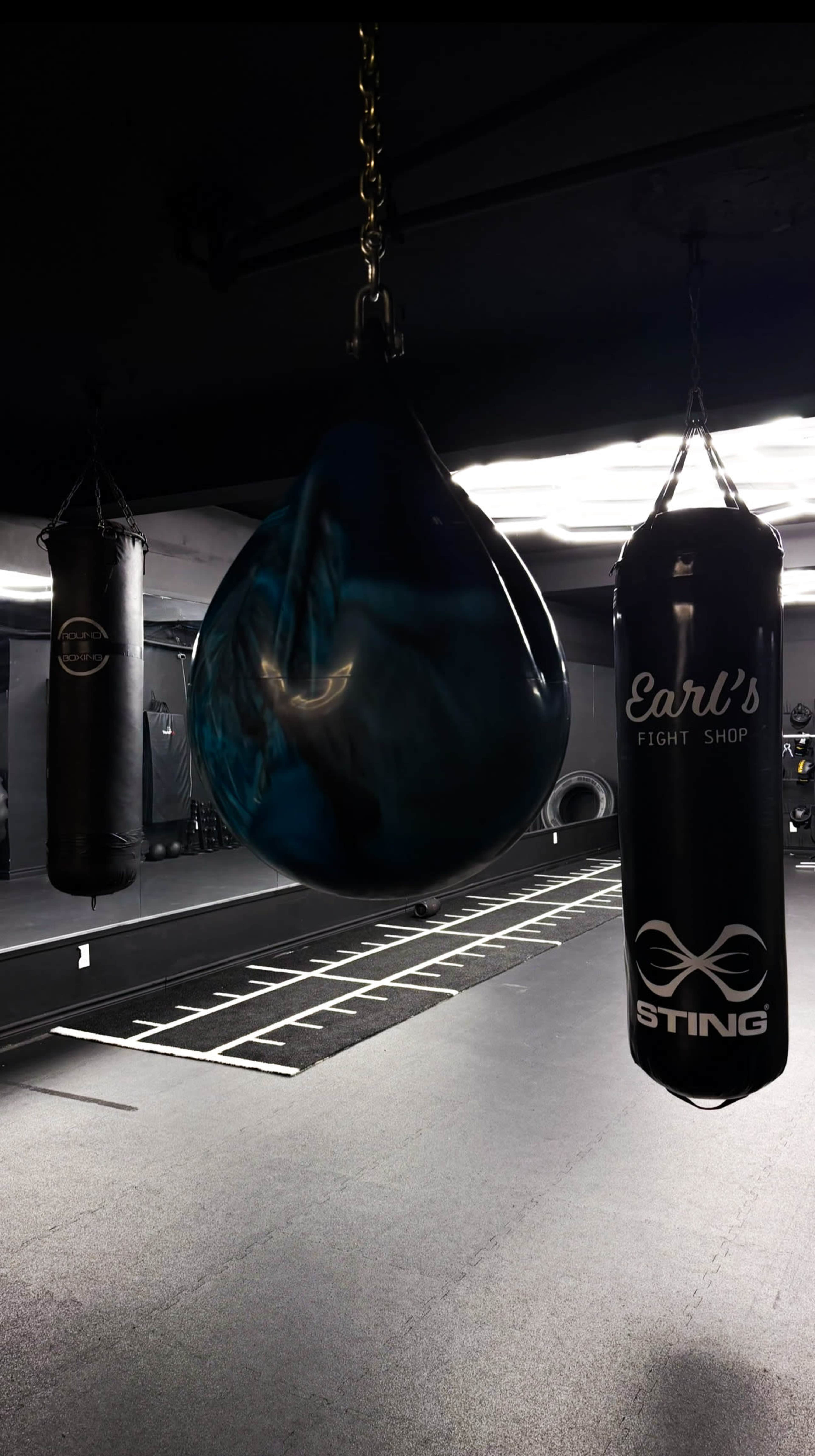 The image shows a boxing gym featuring two heavy bags and a speed bag hanging in a well-lit training area with a marked floor.