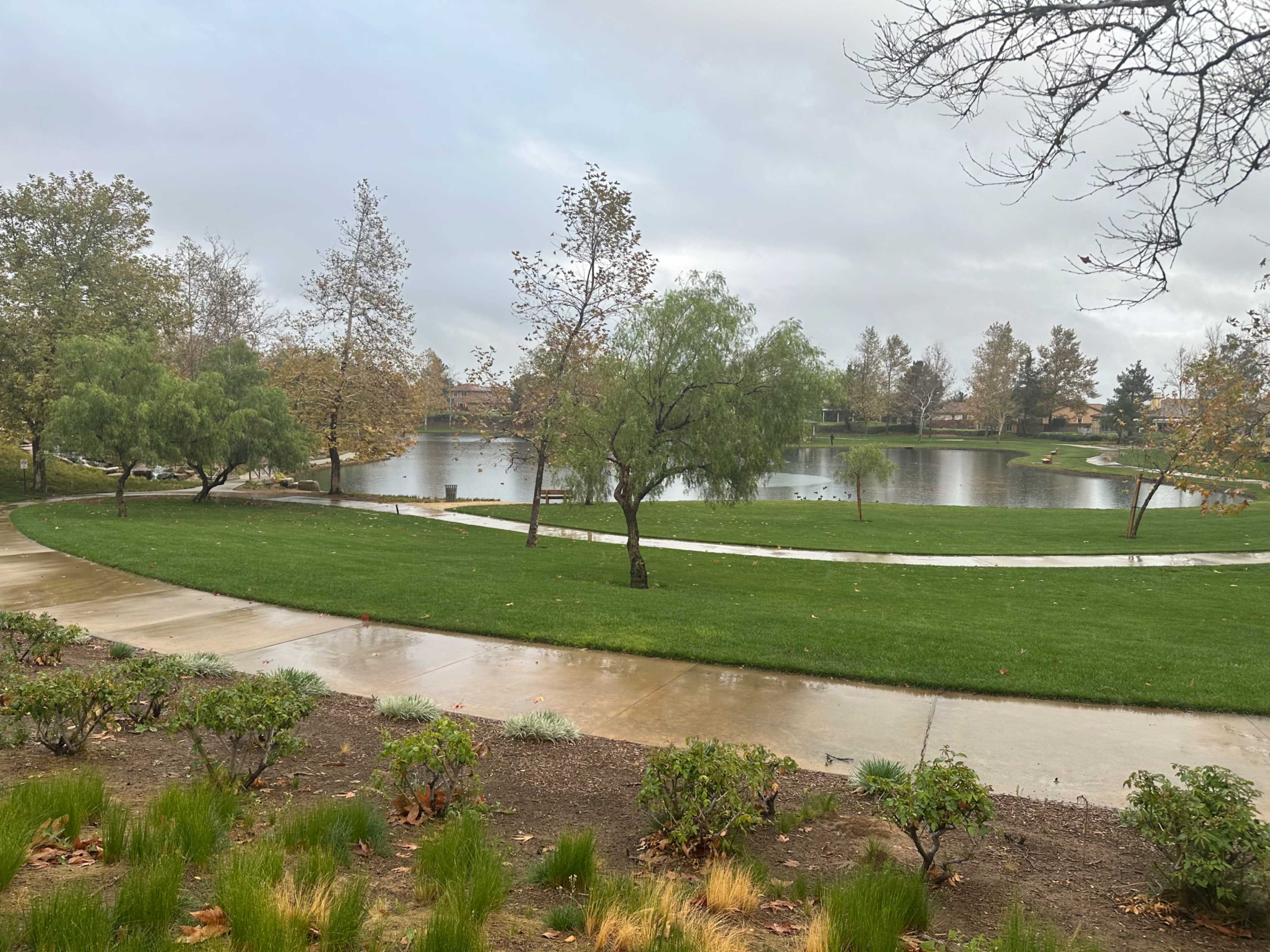 A pathway curves alongside a tranquil lake surrounded by grass and trees in a park on a cloudy day.
