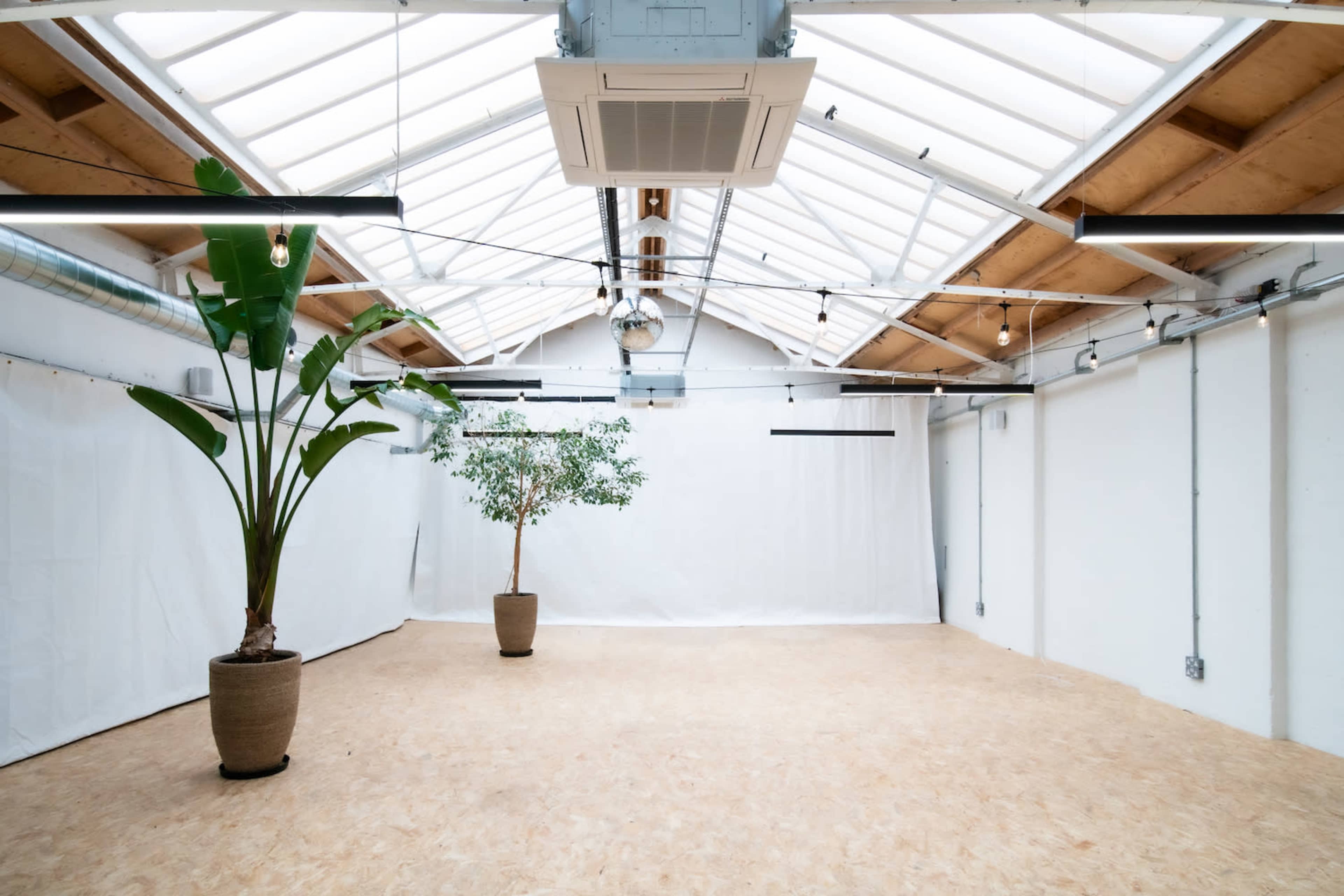 The image shows a spacious, well-lit room with wooden beams, a clear roof, two potted plants, and white walls.