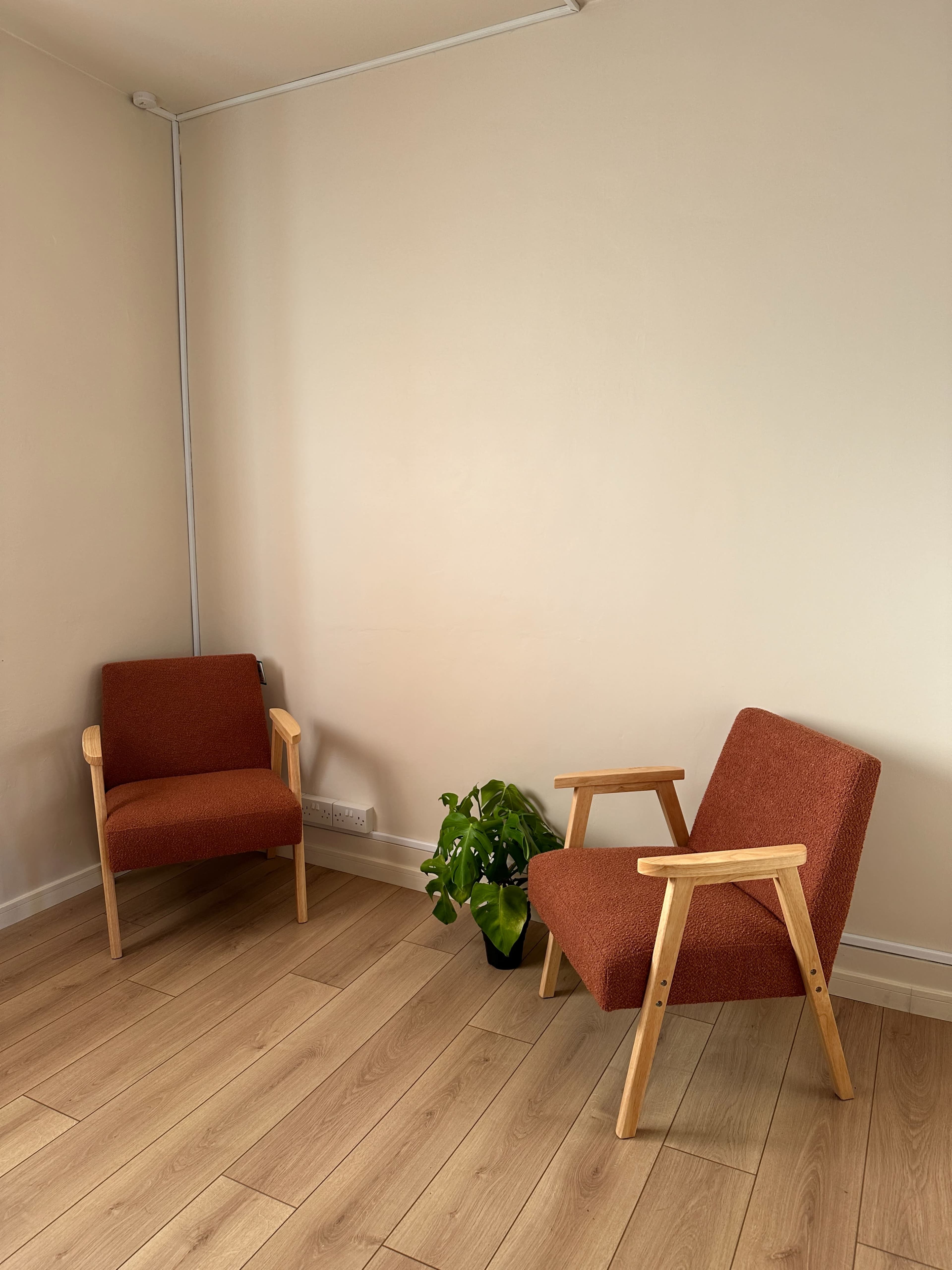 The image shows two terracotta-colored chairs positioned in a corner of a room with light wooden flooring and a potted green plant nearby.