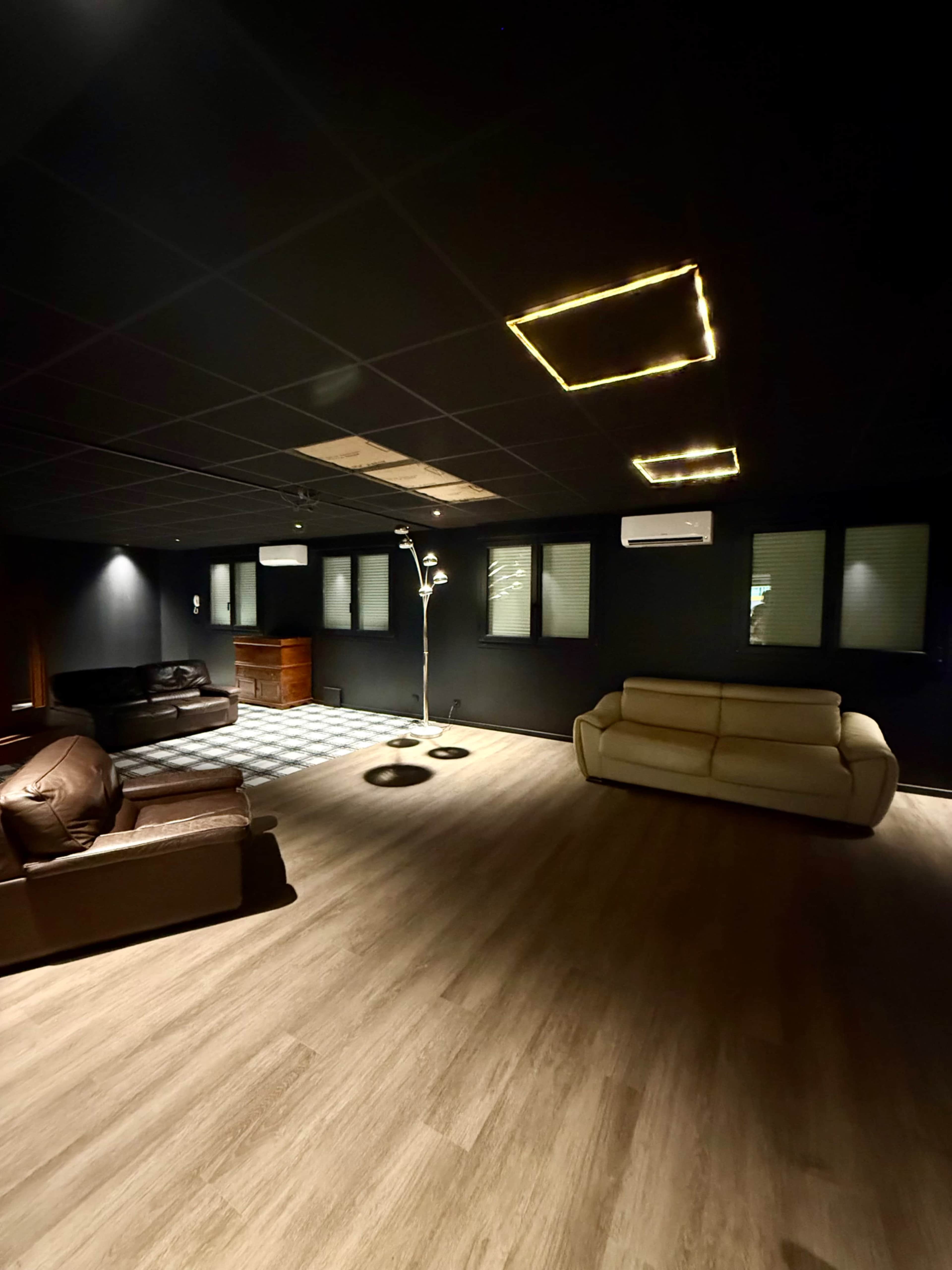 The image shows a dimly lit room with dark walls, featuring two sofas, a floor lamp, and windows along one side.