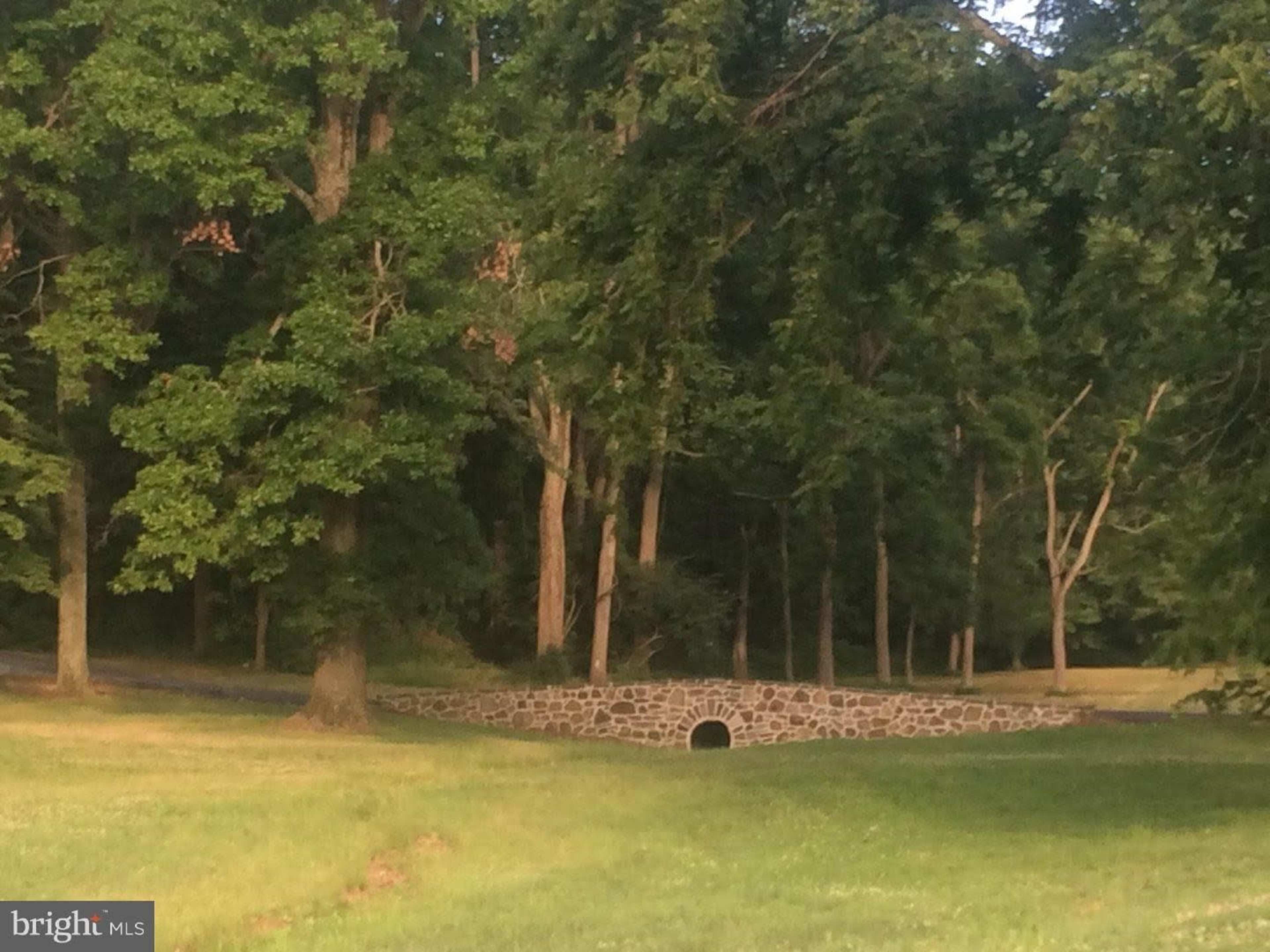 A stone bridge with an archway set amidst a densely wooded area.