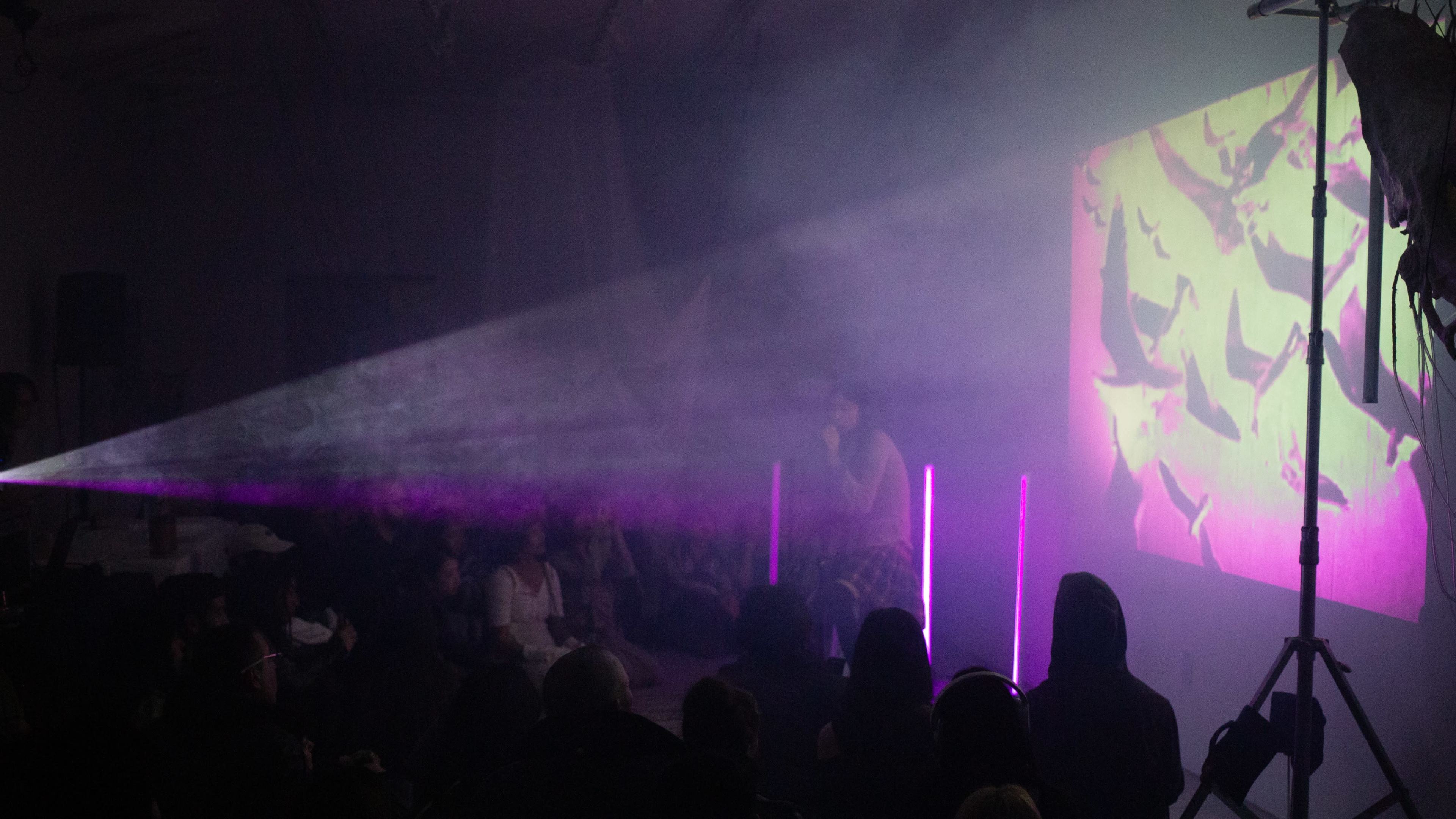 A performer is on stage with a light projection of birds on a screen, while an audience watches in a dimly lit space.