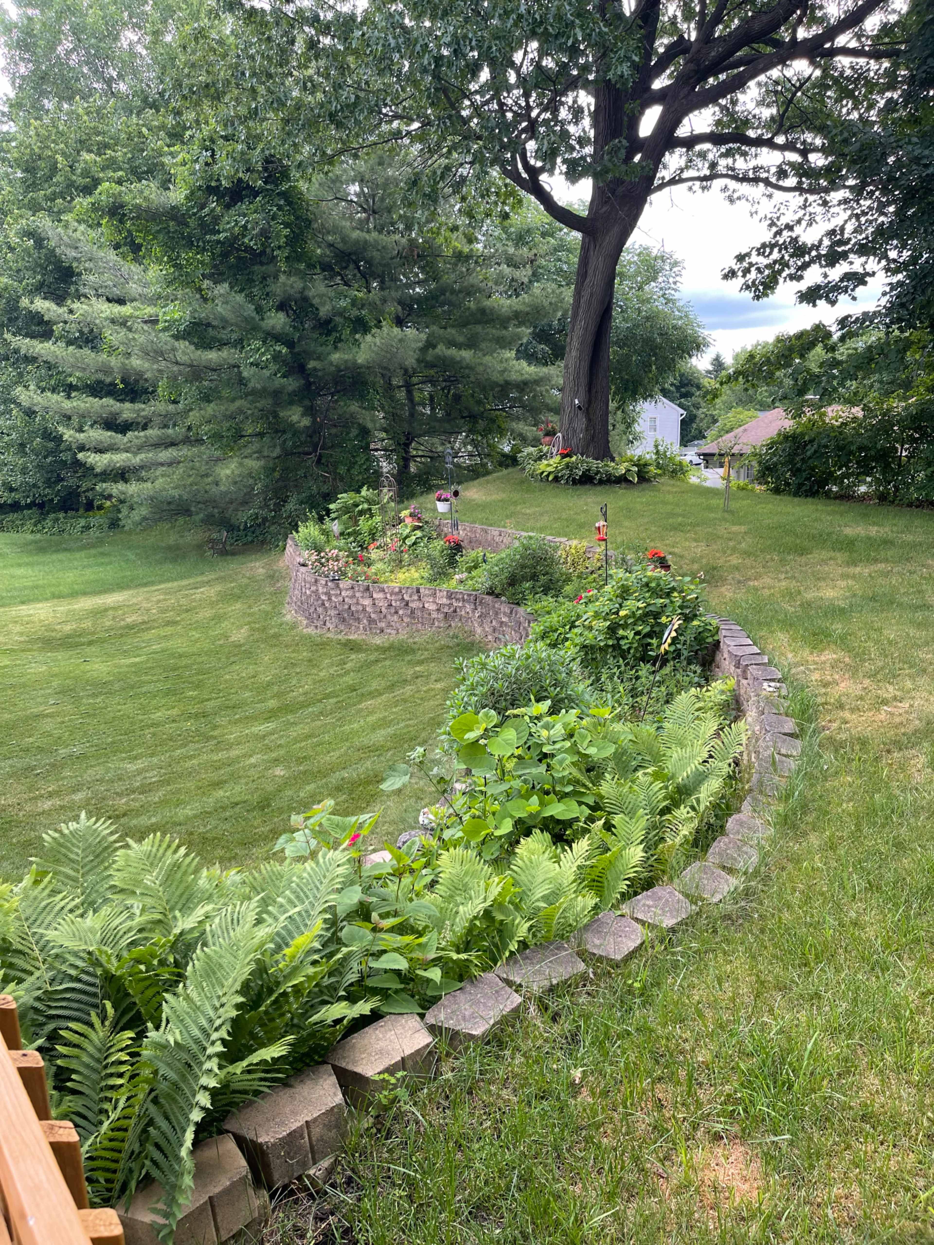 The image features a landscaped garden with curved stone borders, lush greenery, and a large tree in the background.