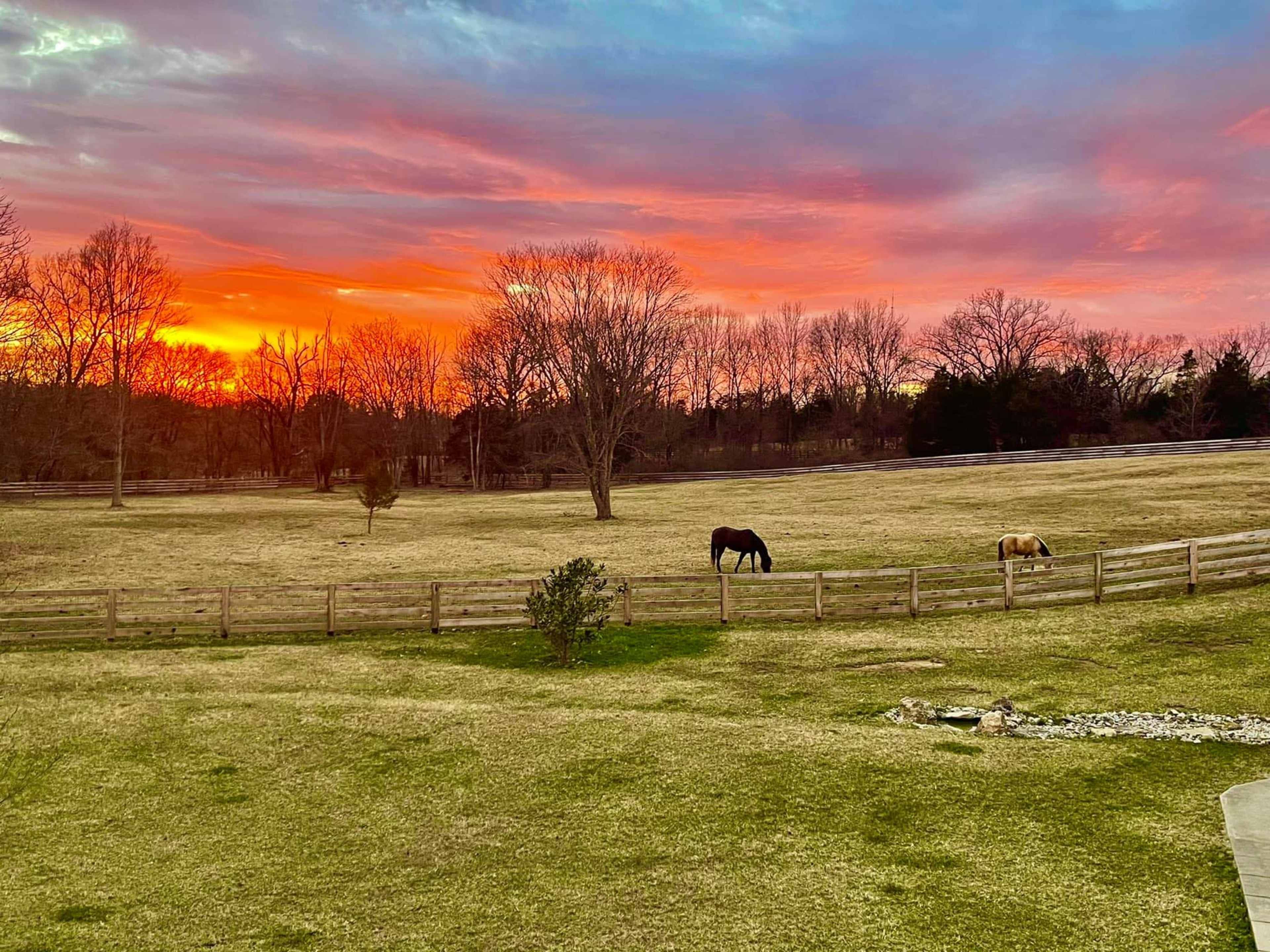 Two horses graze in a grassy field during a colorful sunset, with a wooden fence in the background.
