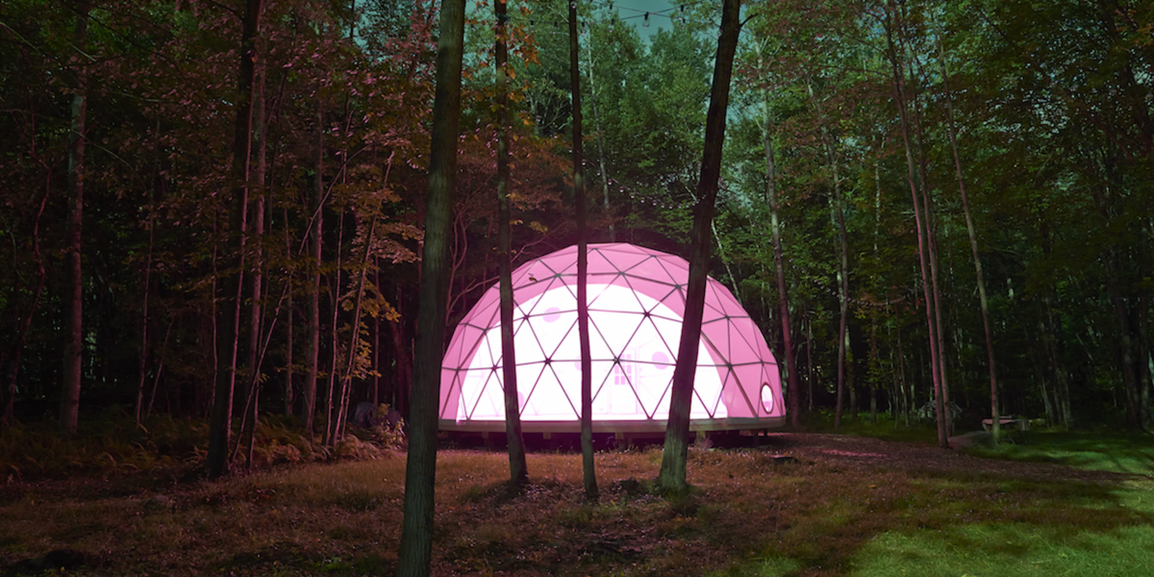 A geodesic dome structure with pink illumination is situated in a wooded area surrounded by trees.