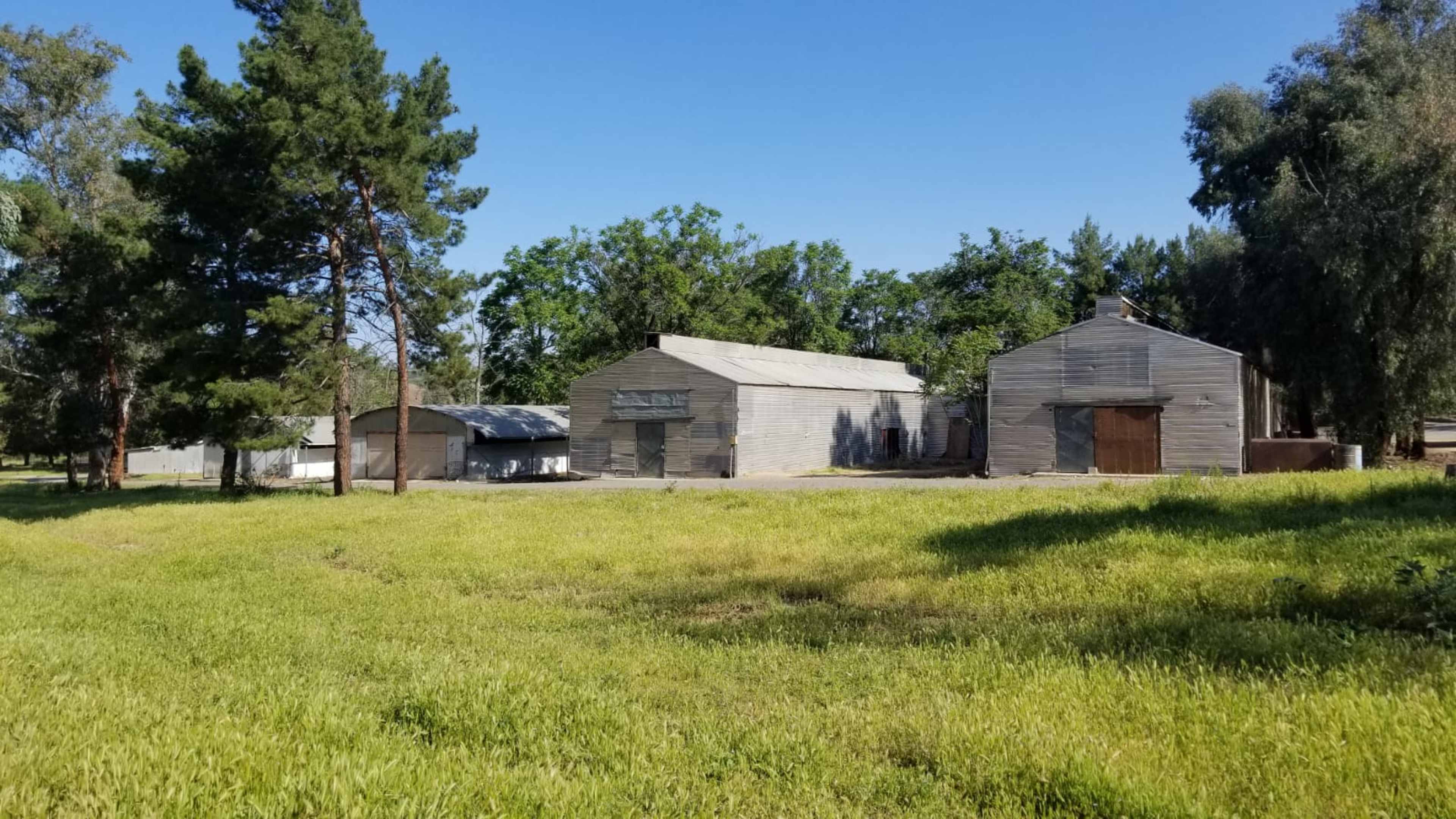The image shows several wooden barns situated in a grassy area surrounded by trees under a clear blue sky.