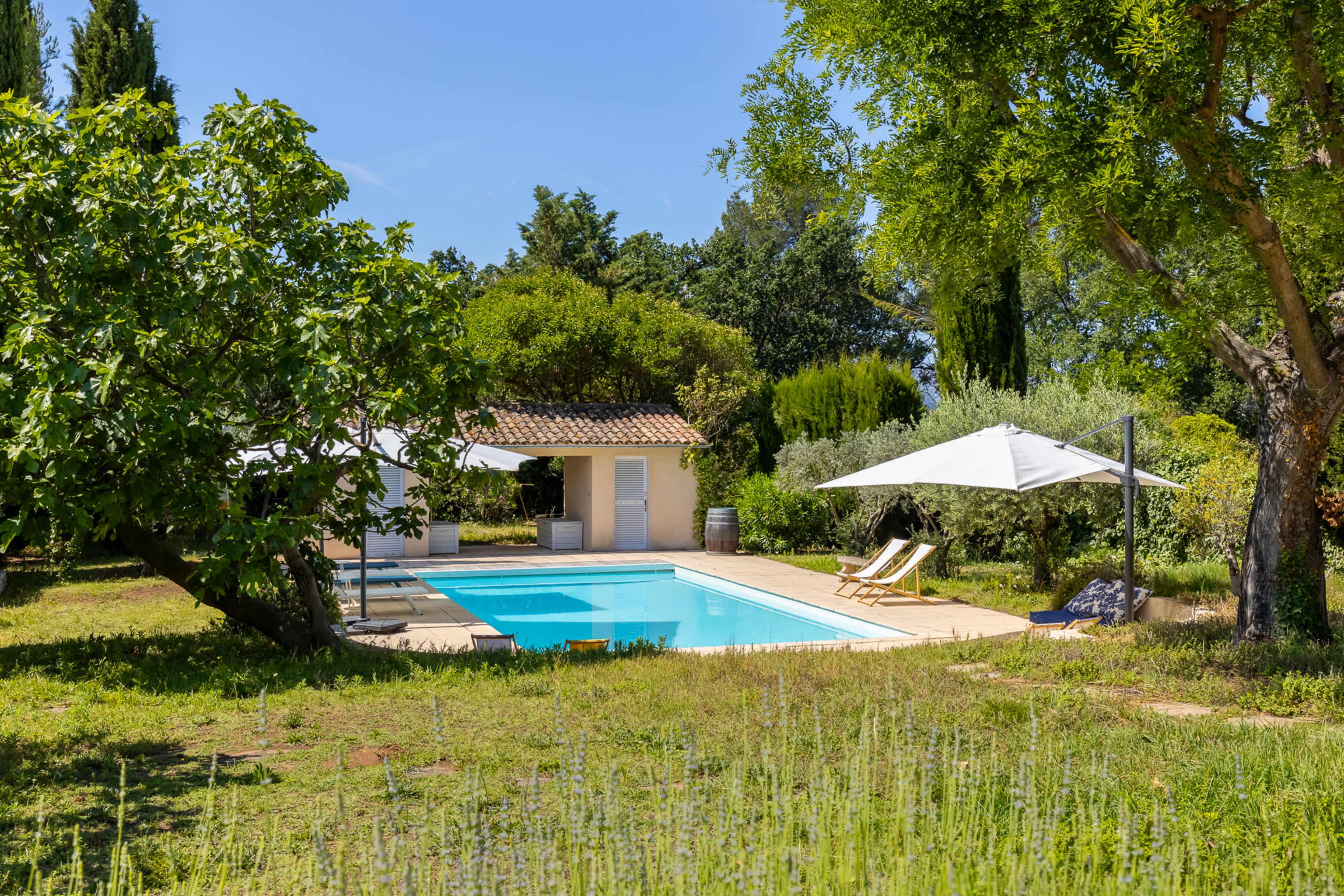 A clear blue swimming pool is surrounded by greenery and sun loungers in a tranquil garden setting.