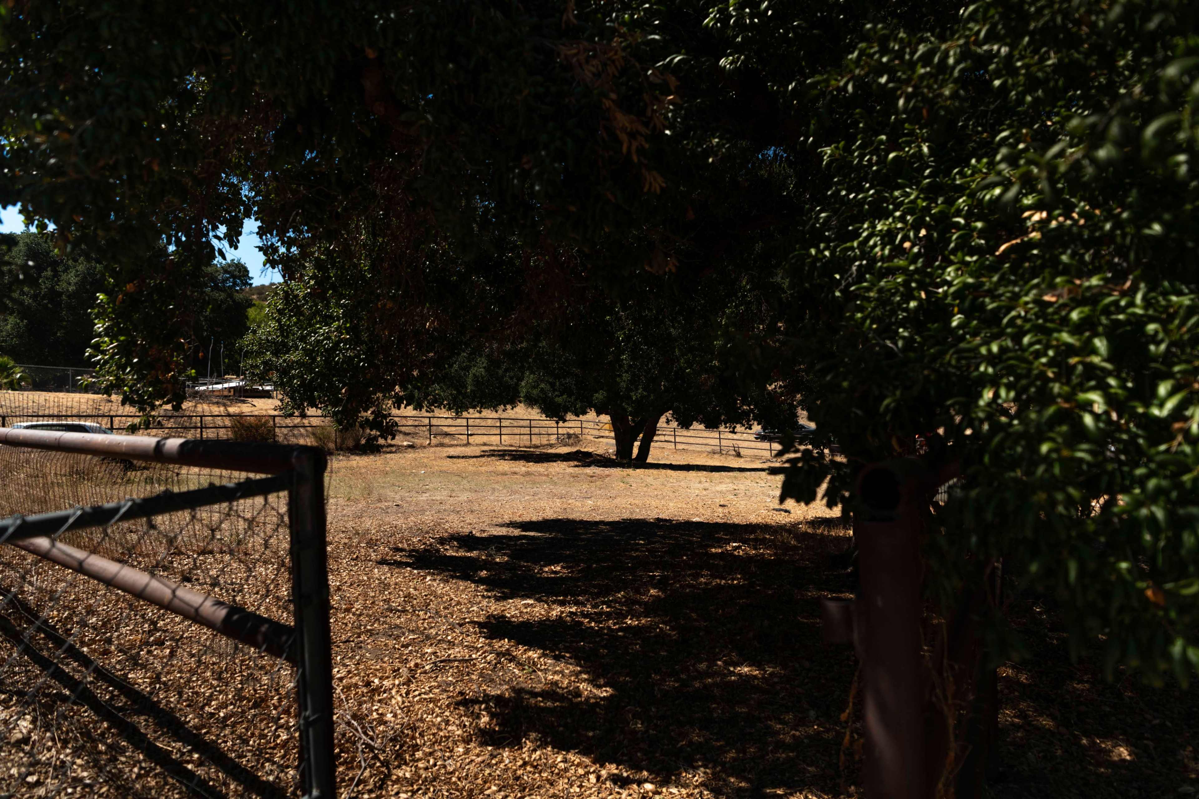 A shaded area with dry grass and trees is enclosed by a wire fence.