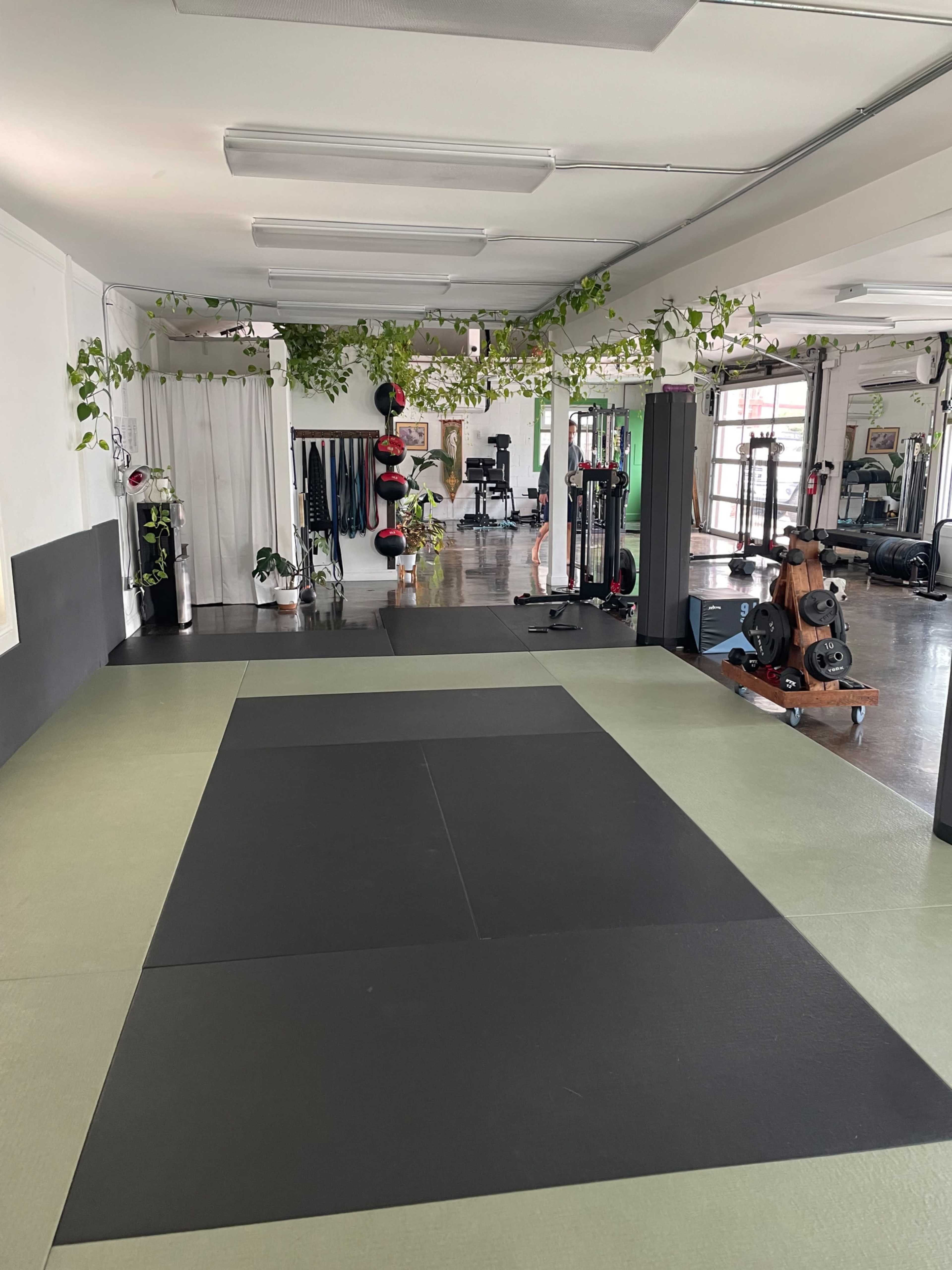 The image shows a spacious gym interior with exercise mats, fitness equipment, and hanging plants.