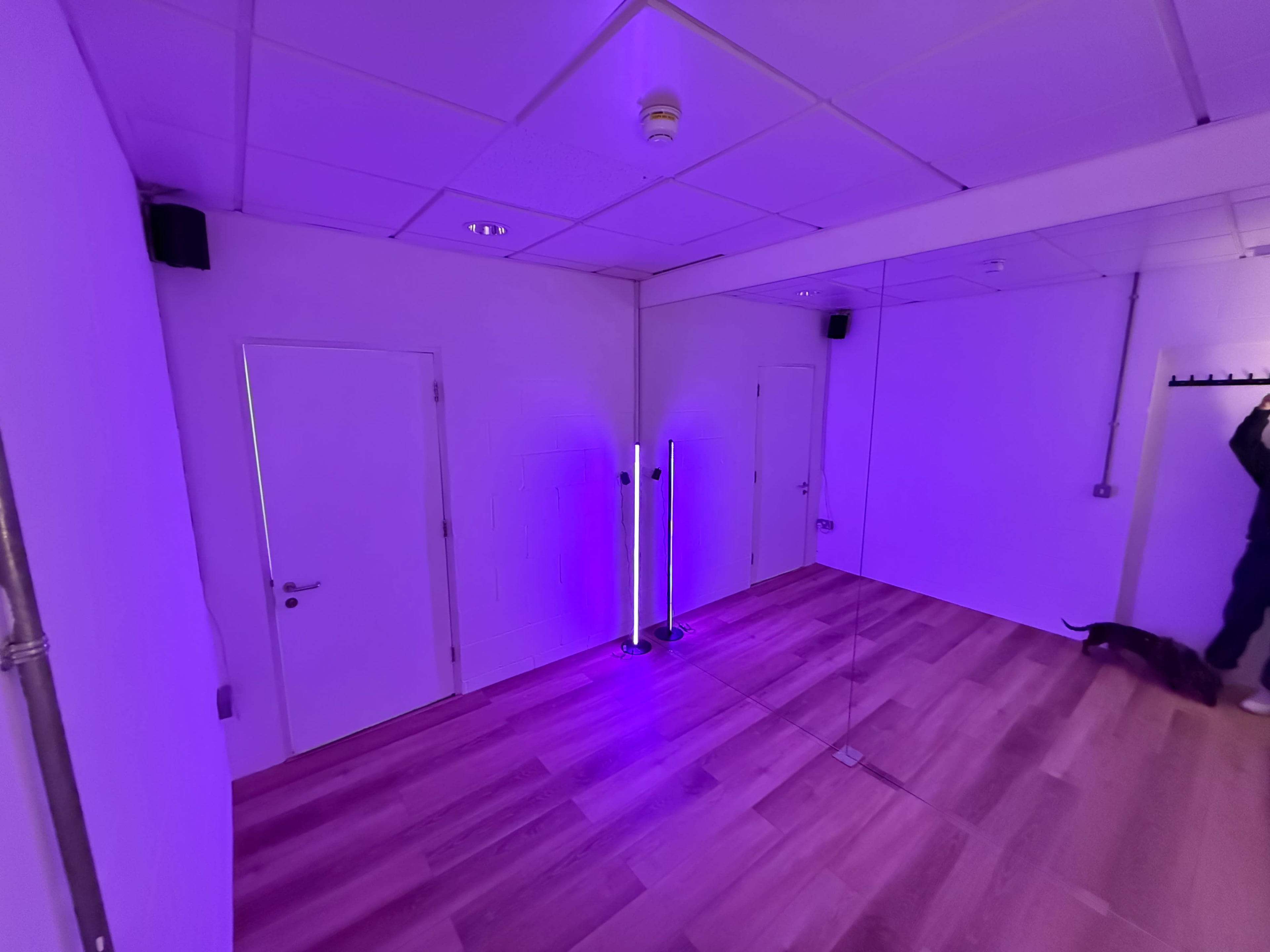 The image shows a sparsely furnished room with purple lighting, featuring two doors and a mirrored wall.