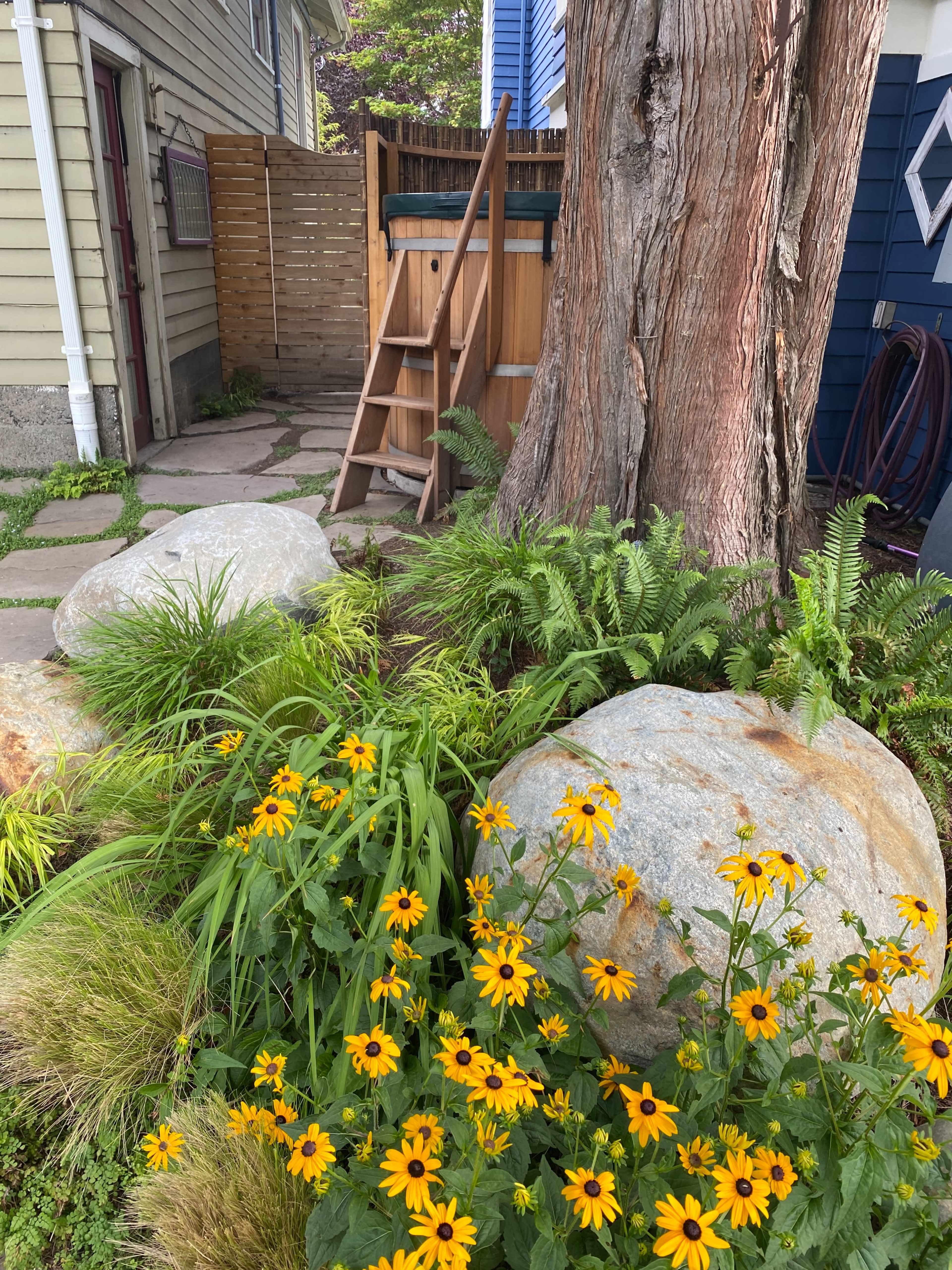 A wooden outdoor shower is situated beside a large tree, surrounded by green ferns, yellow flowers, and large rocks.
