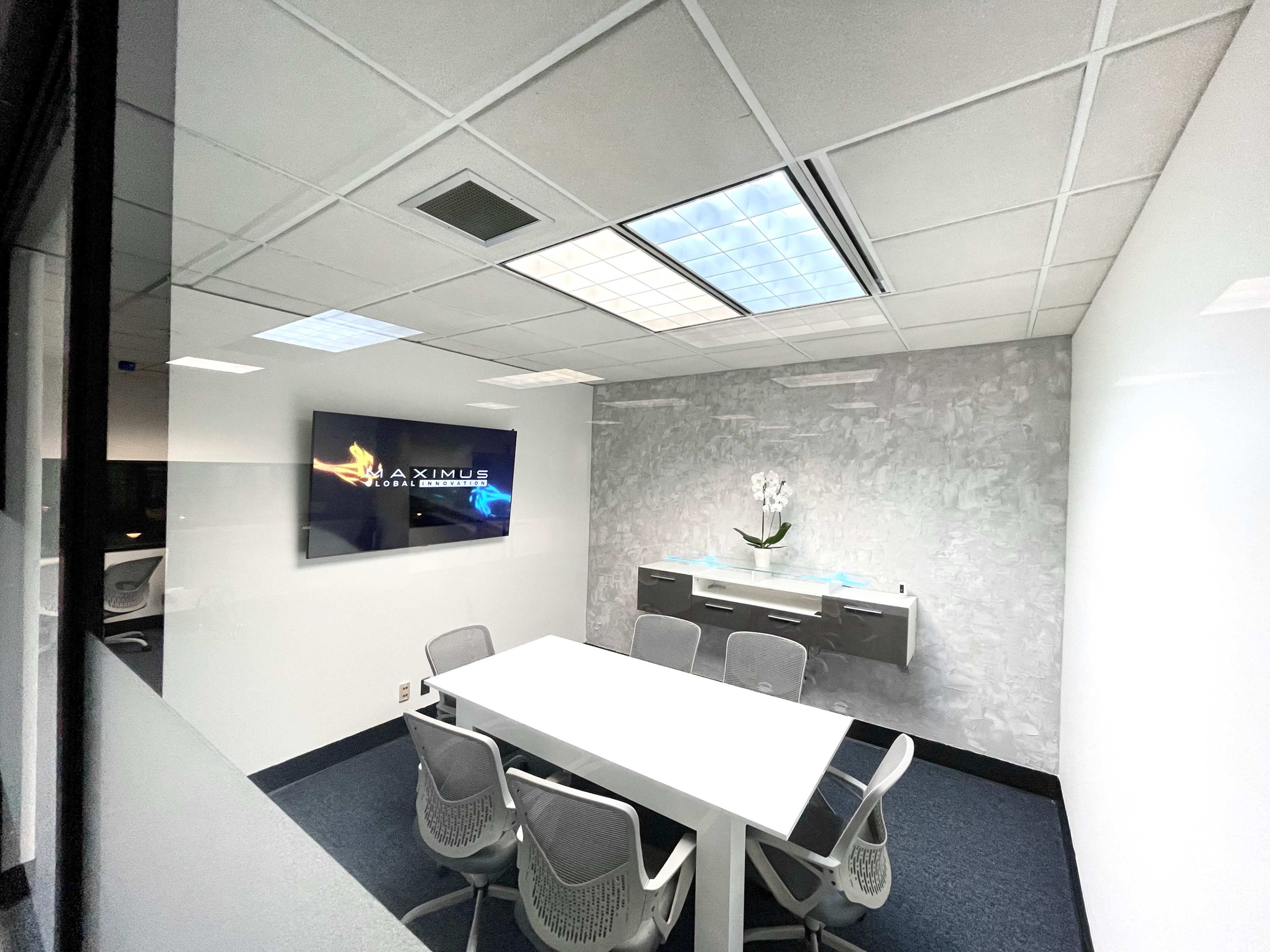 The image shows a modern conference room with a white table, several chairs, a wall-mounted screen displaying the "MAXIMUS" logo, and a grey decorative wall with an orchid plant.