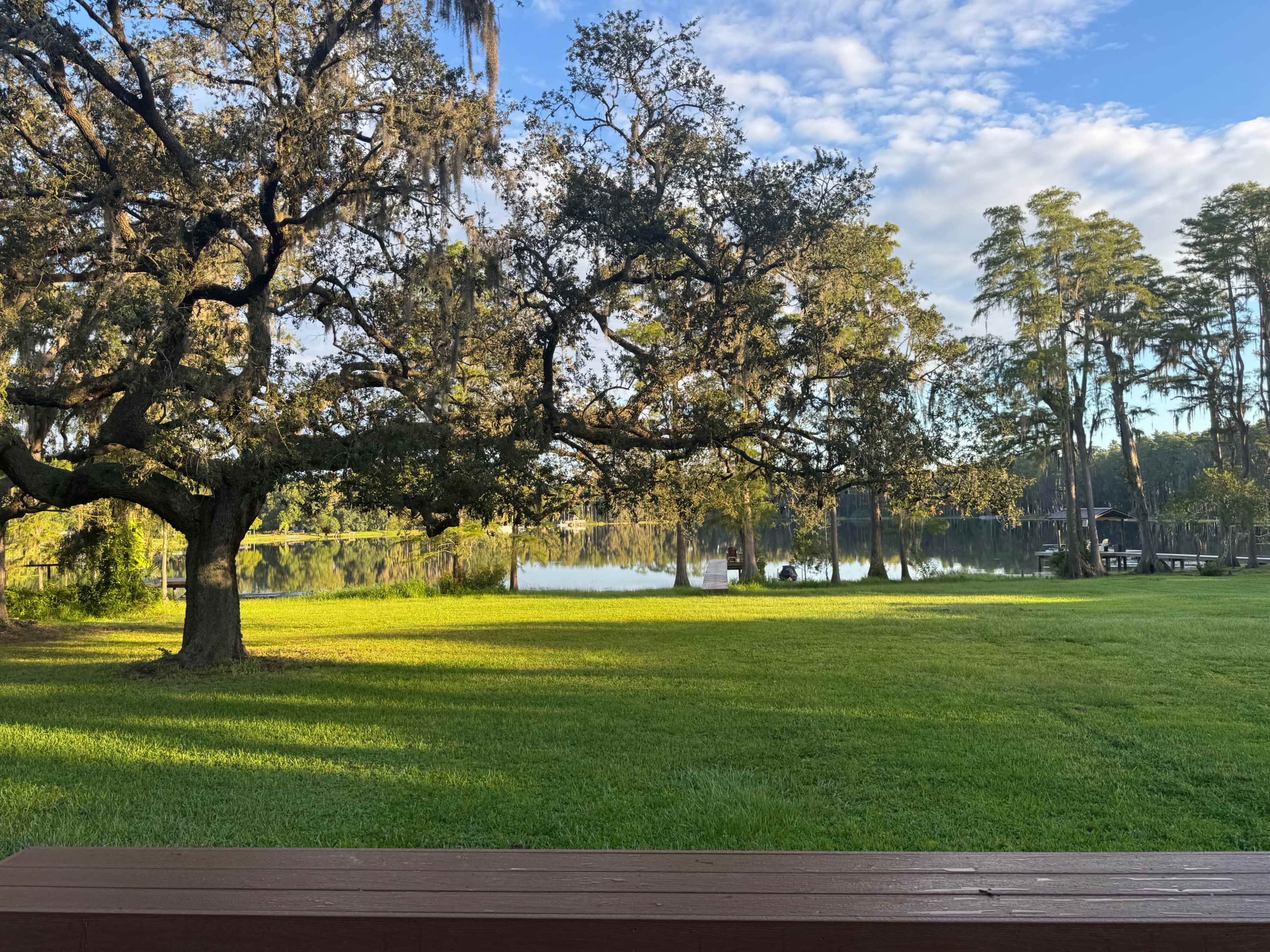 The scene features a serene lakeside view with lush green grass and large, leafy trees reflected in the calm water.