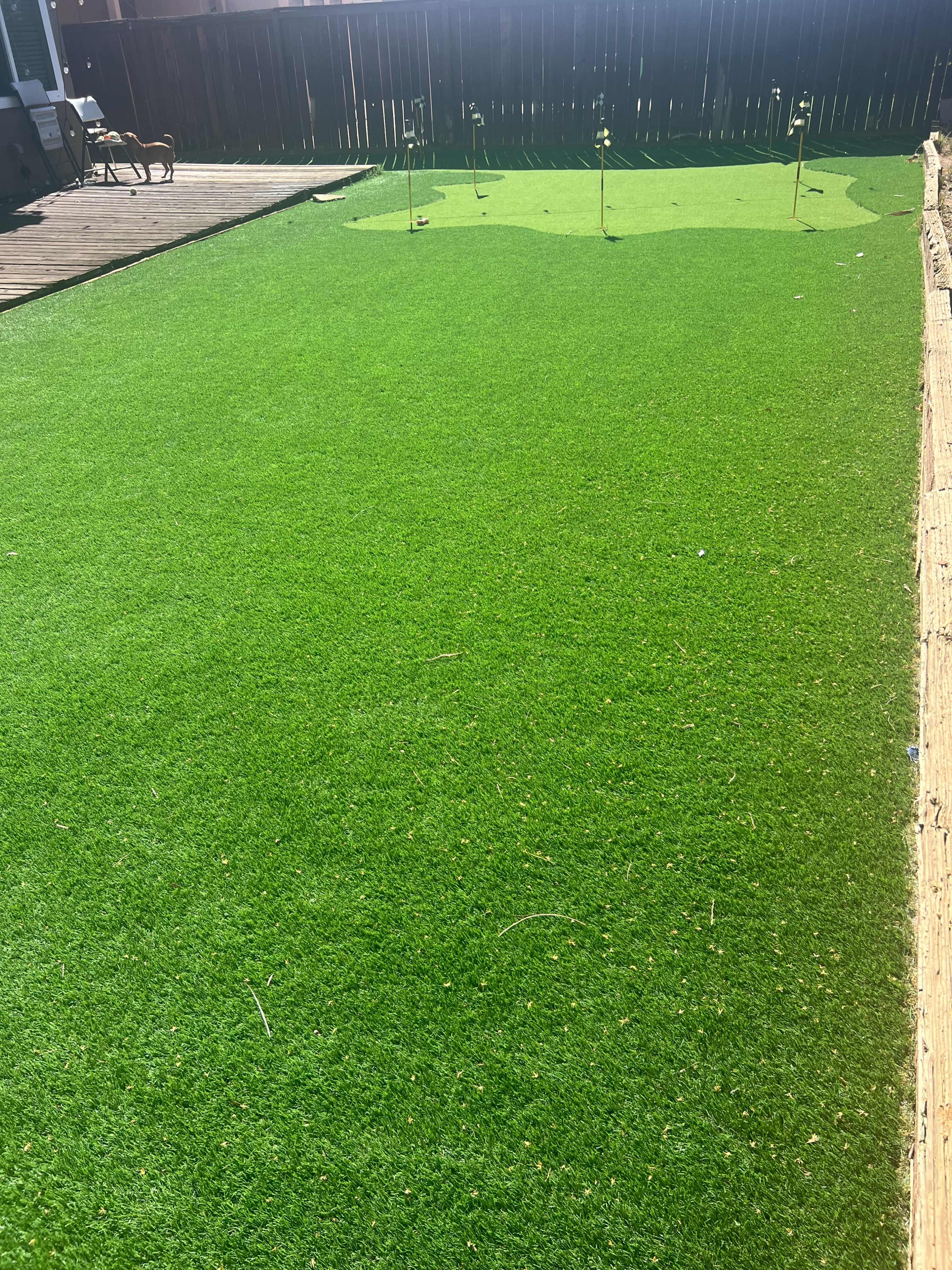 Perris Ca, Backyard with putting green Image in Perris, Perris, CA