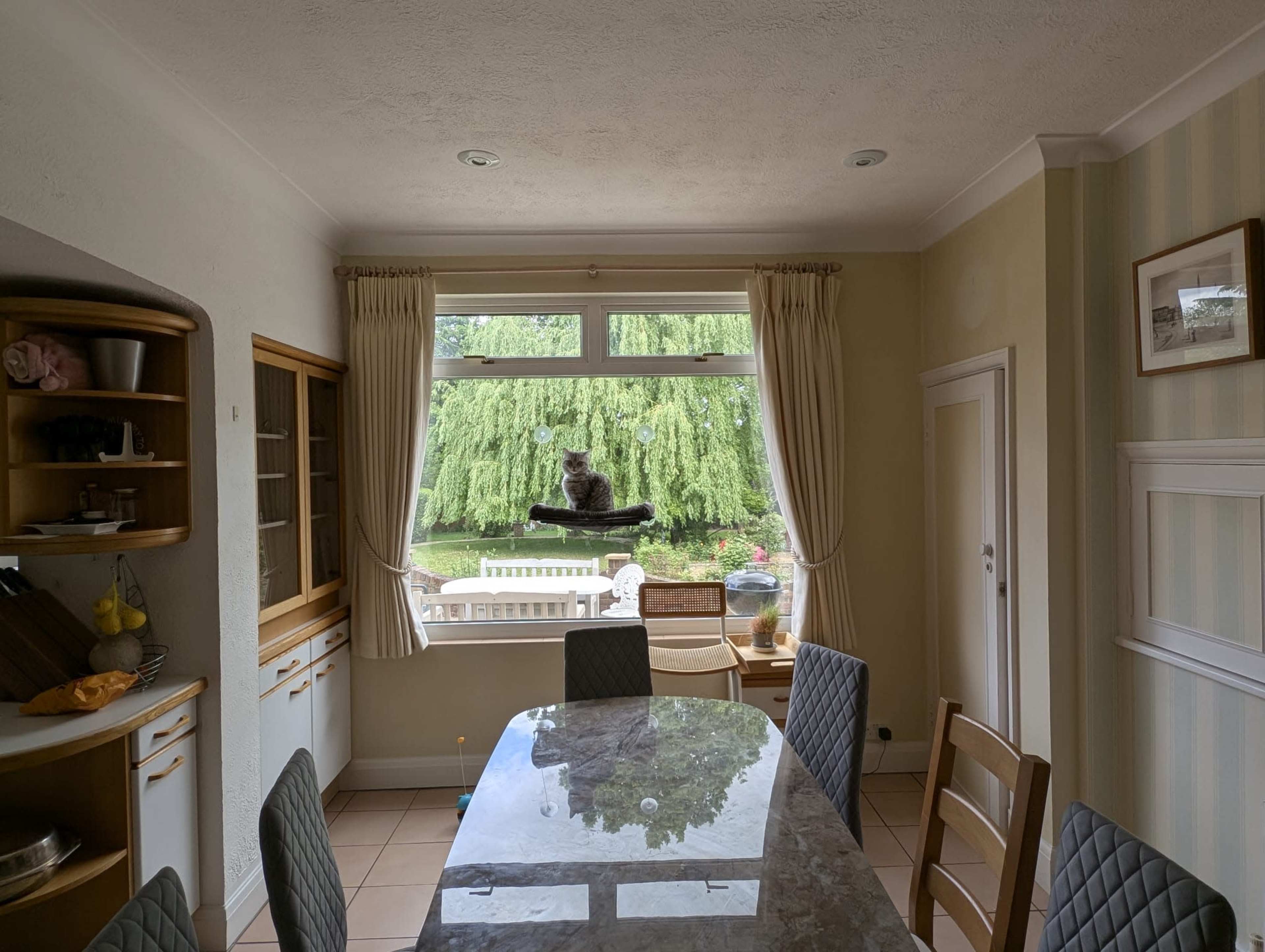 A cat sits on a windowsill overlooking a garden from a kitchen with a dining table.