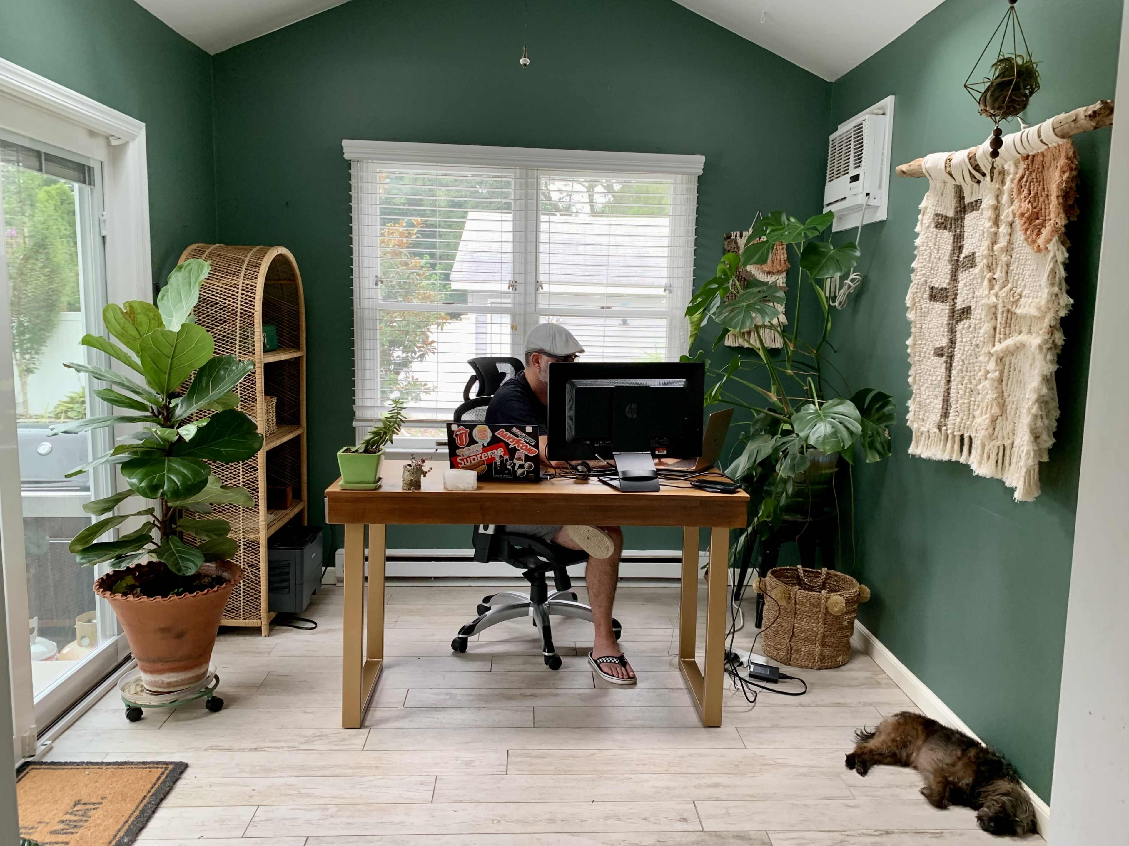 A person sits at a wooden desk in a green-walled room, working on a computer surrounded by plants and decorative items.