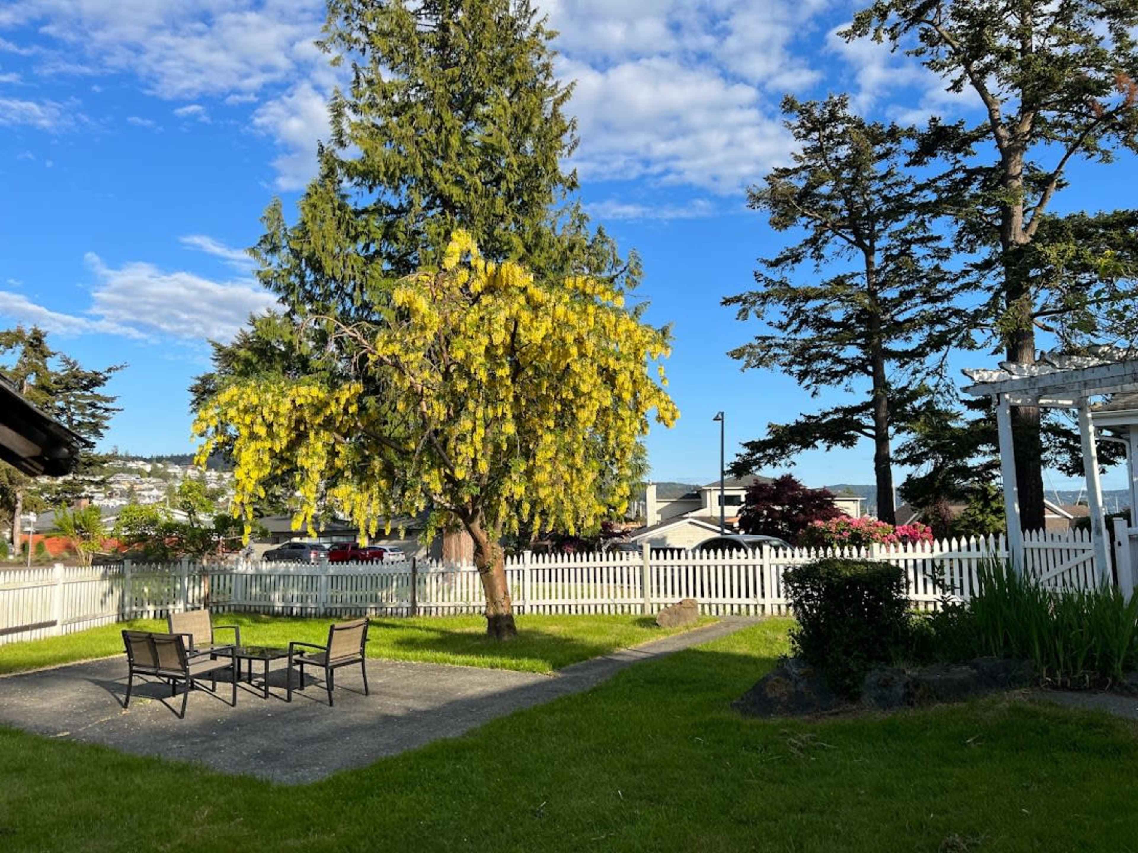 Historic Home in Anacortes Image in Anacortes, Anacortes, WA