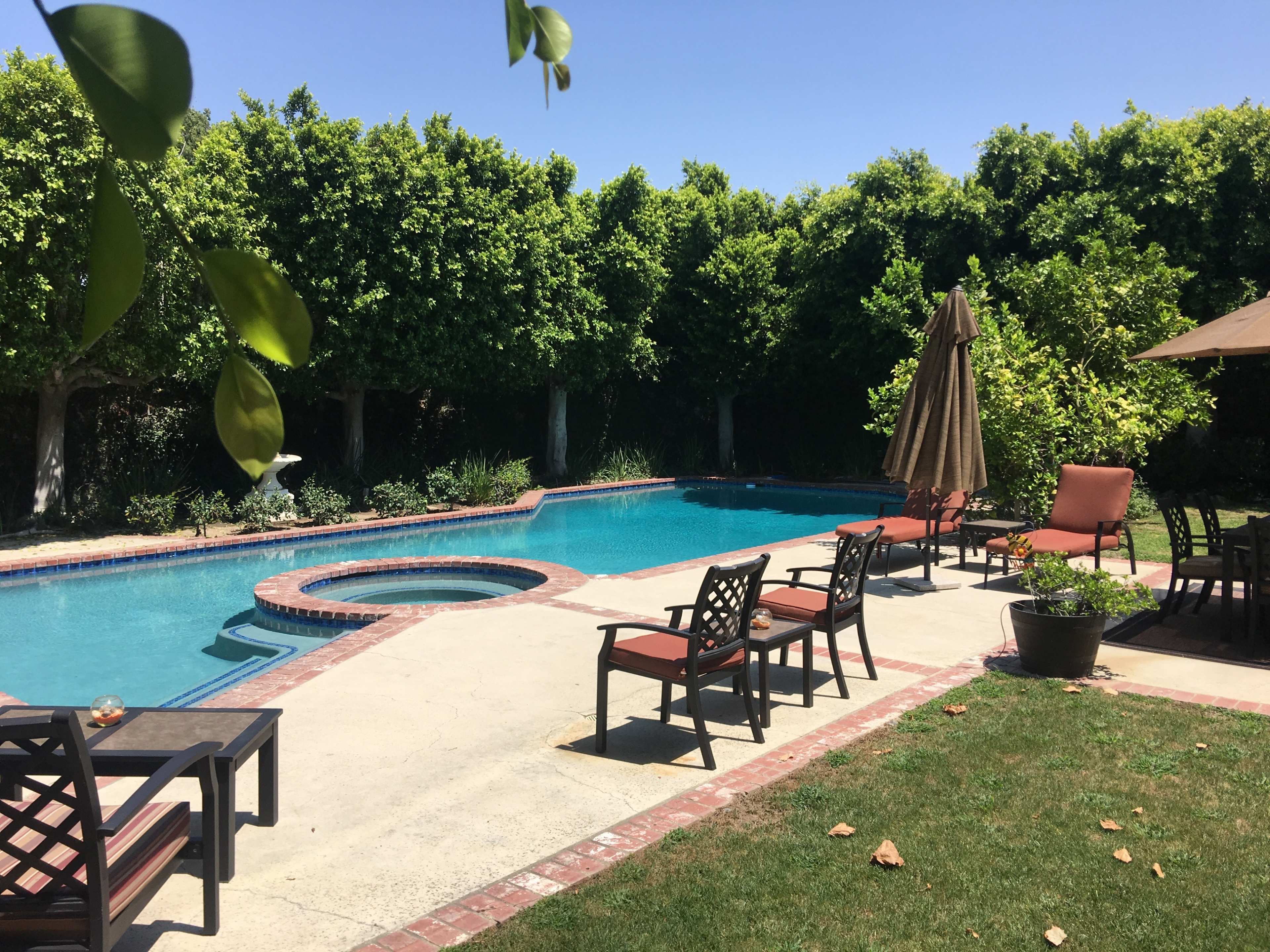 A clear blue swimming pool is surrounded by lounge chairs and a hot tub, backed by lush green trees and a patio umbrella.