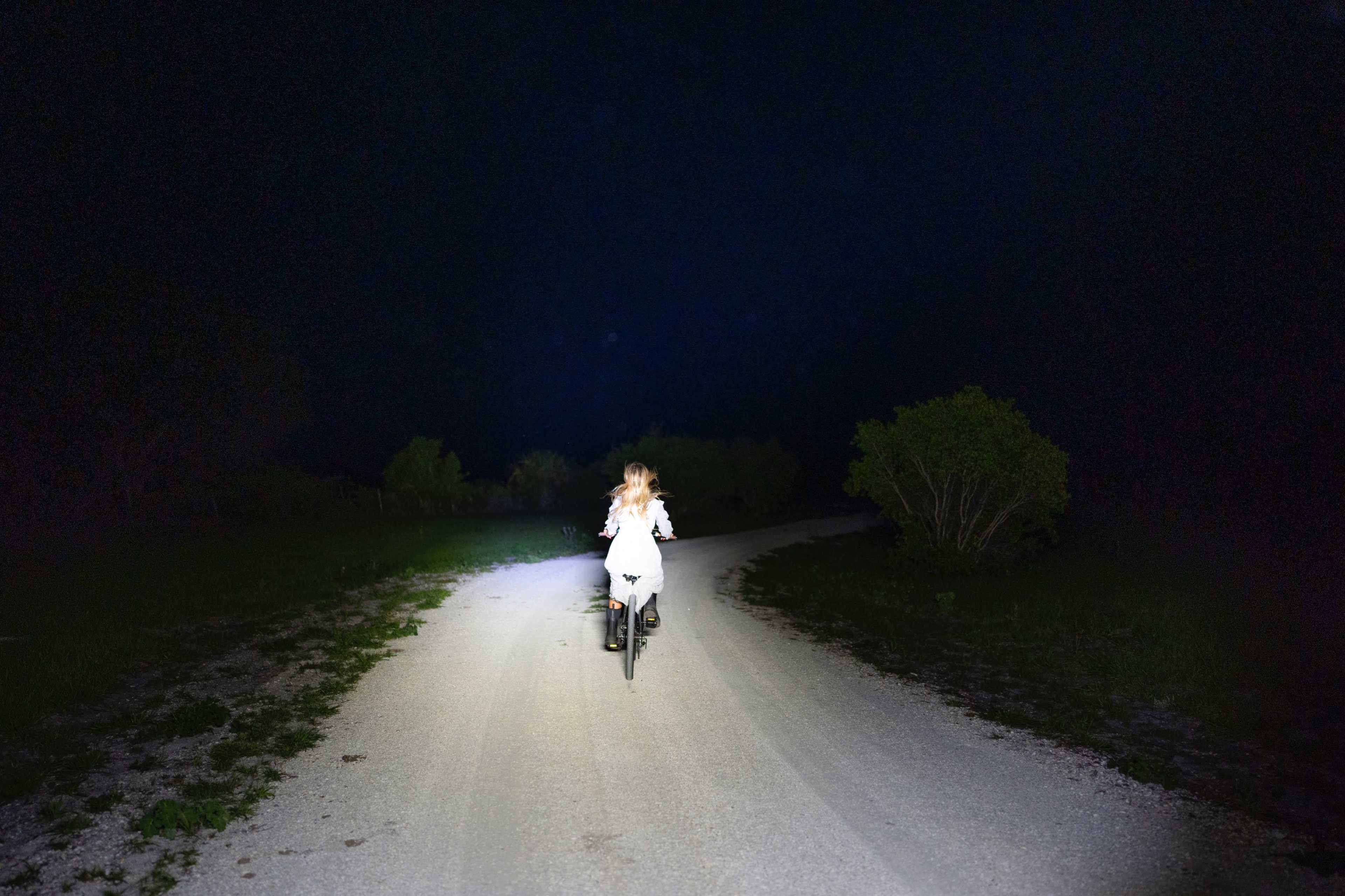 230 acre Untouched Old Florida Landscape Image in , zolfo springs, FL