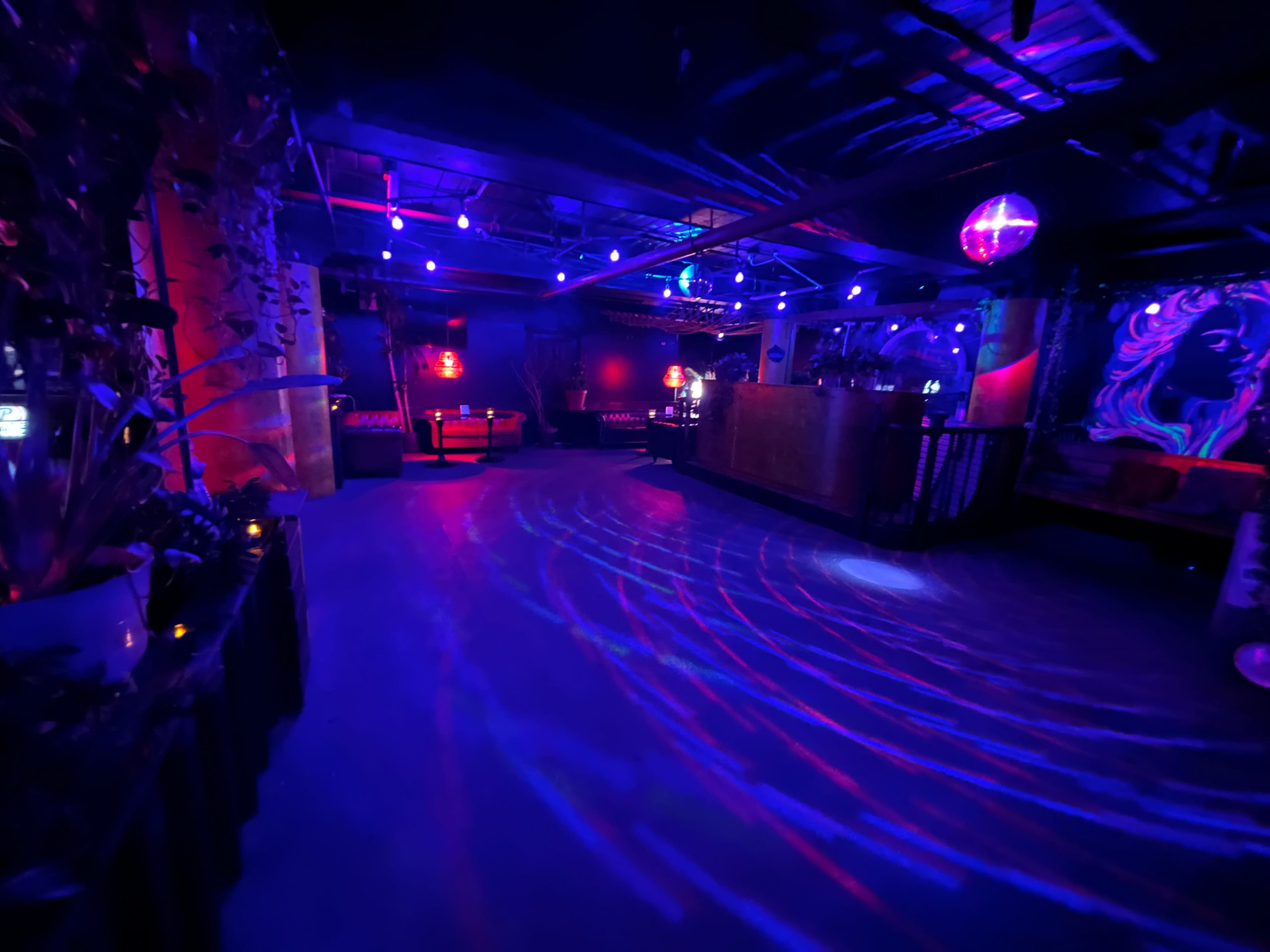 Funky bar with pool tables and dance floor Image in Sunset Park, BROOKLYN, NY