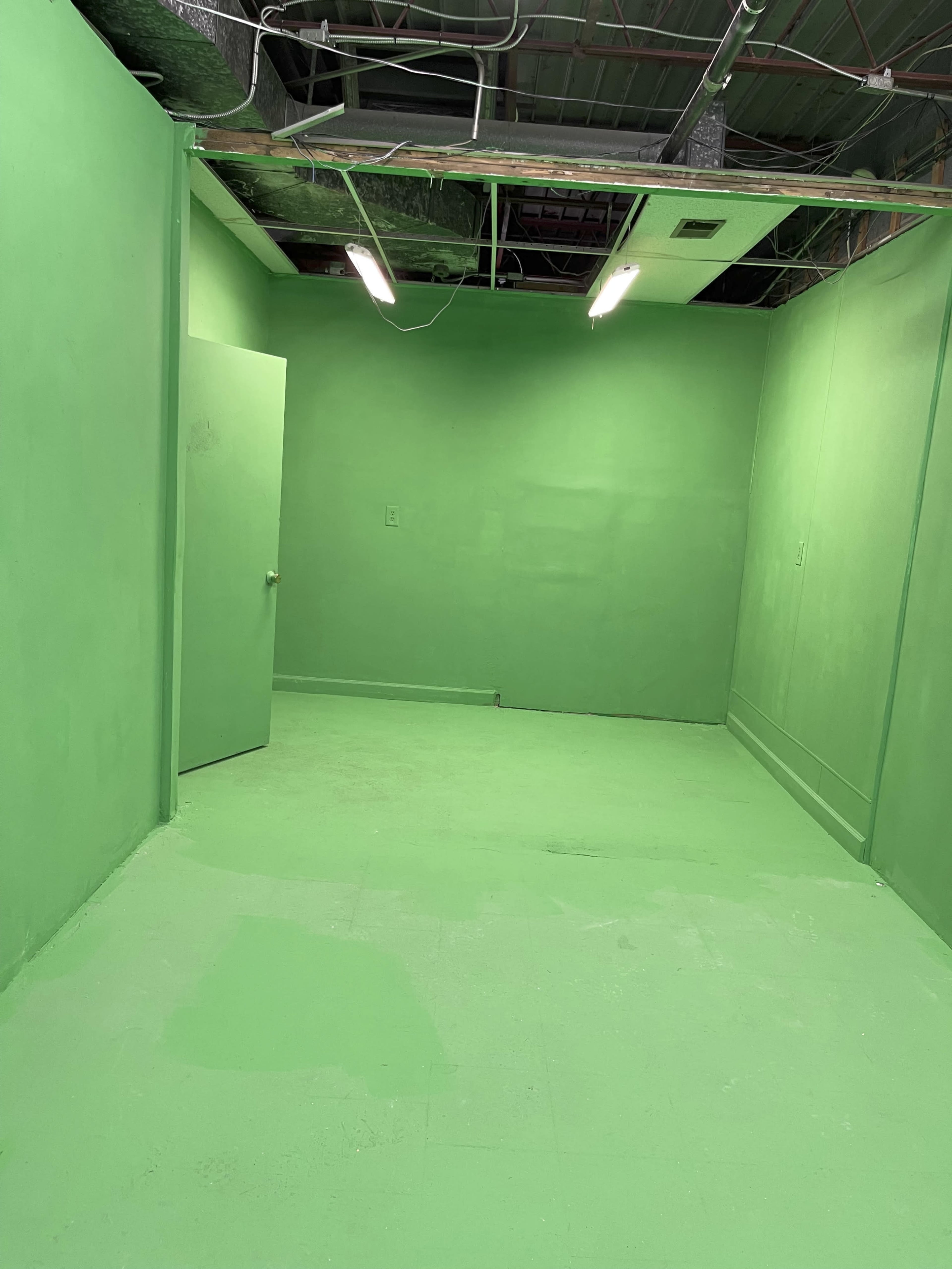 The image shows a room with all walls, the floor, and a door painted bright green.