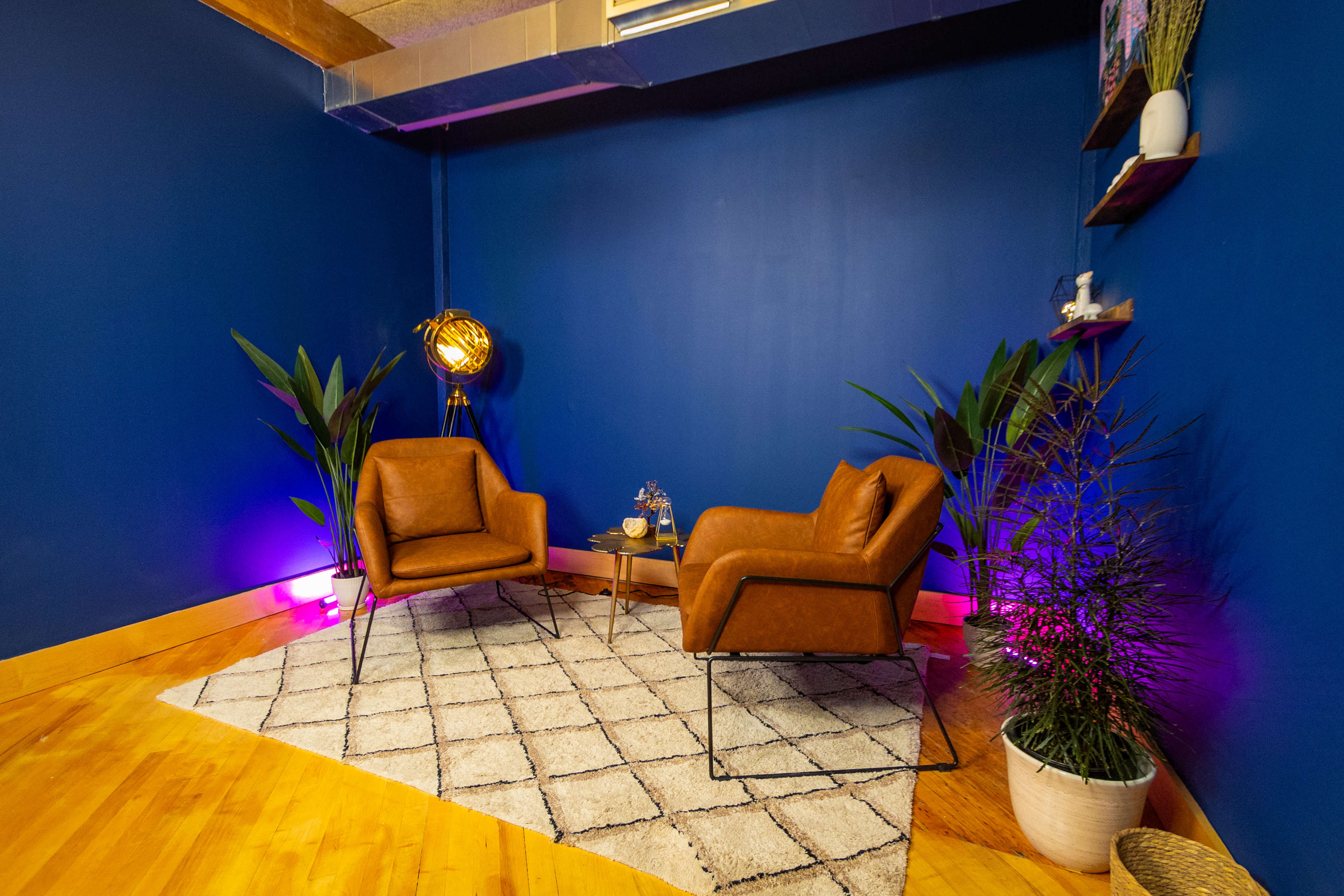 The image shows a cozy seating area with two brown leather chairs, a small coffee table, and decorative plants against a deep blue wall.