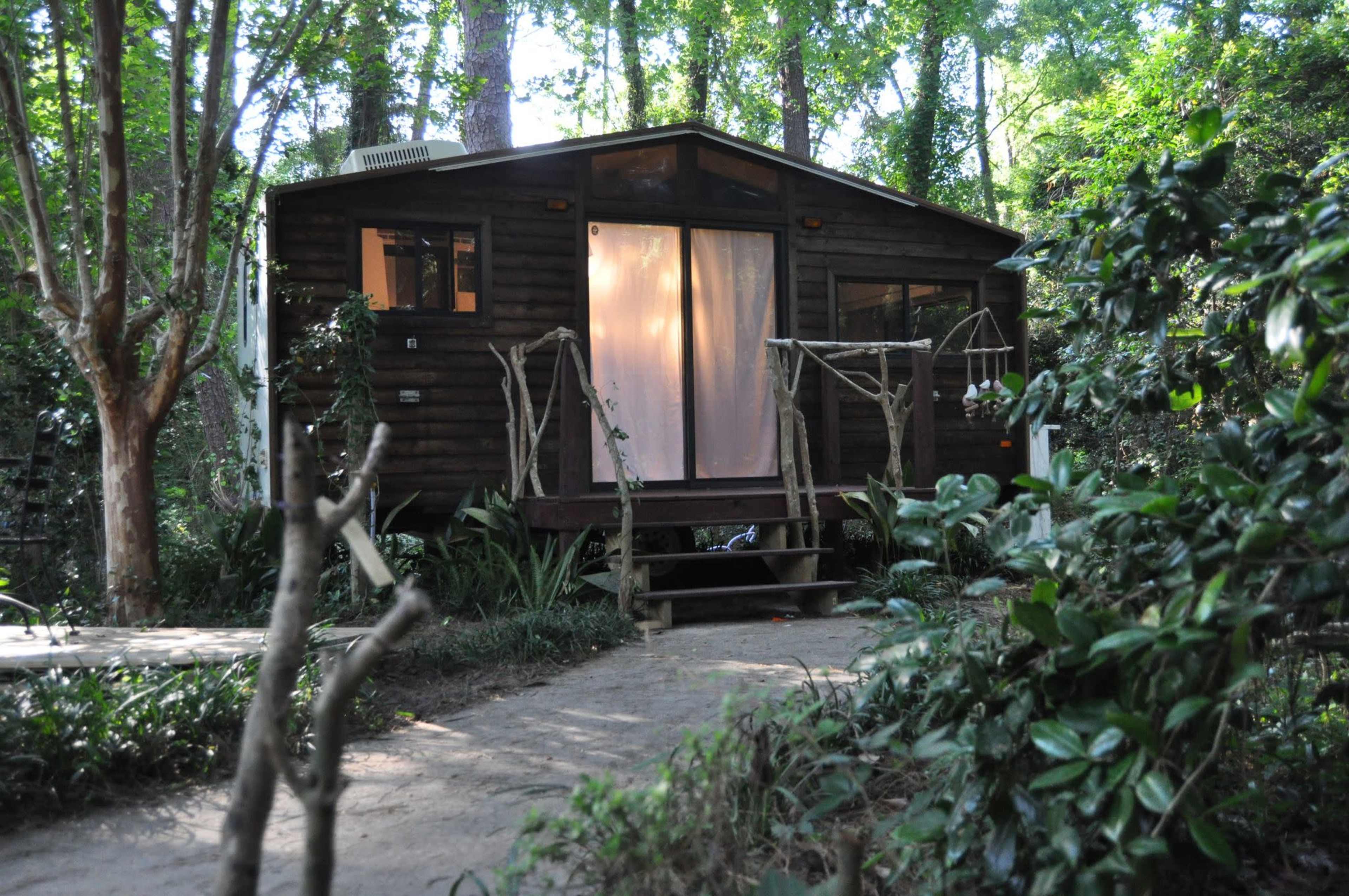 A wooden cabin with large front windows is surrounded by lush greenery and a stone path leading to its entrance.