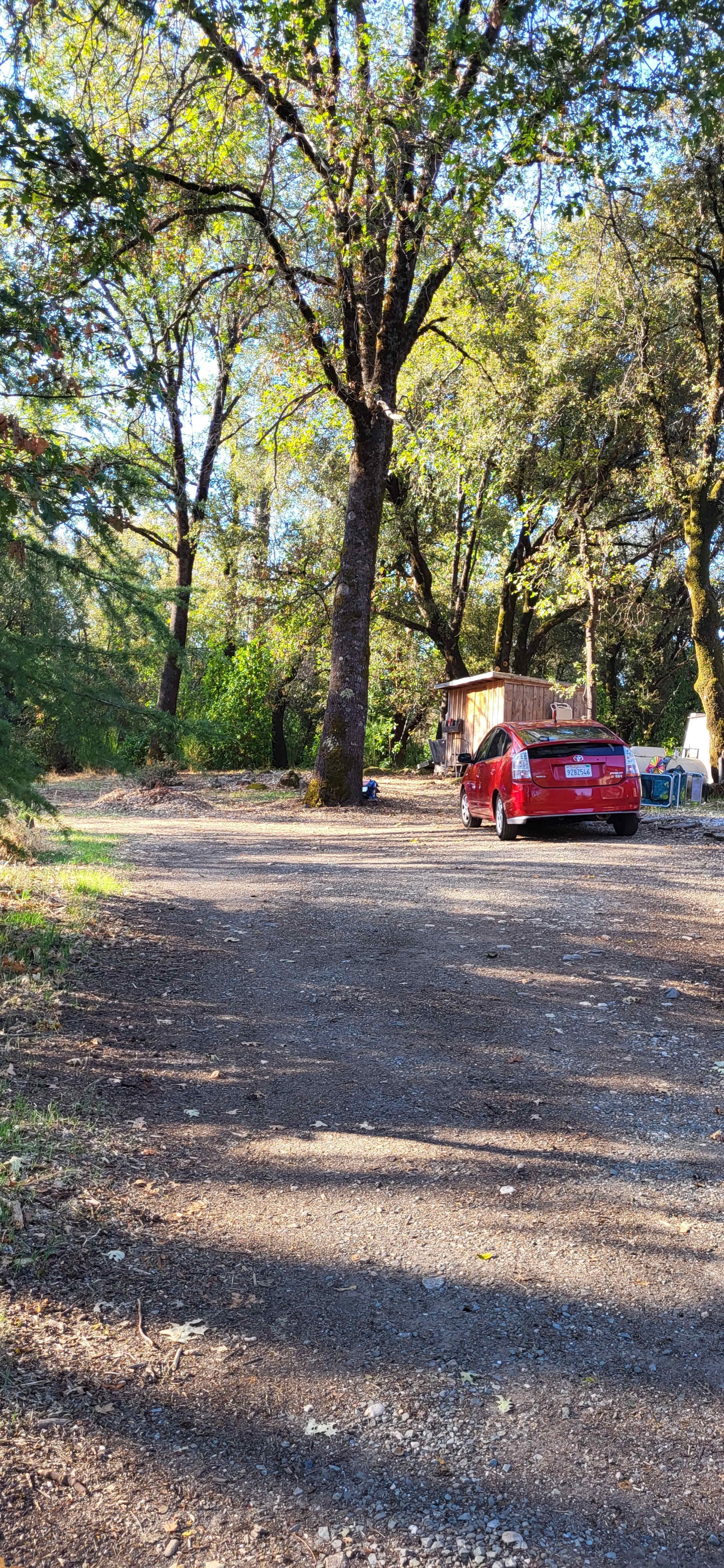 A red car is parked on a gravel driveway surrounded by trees and a wooden shed in a natural setting.
