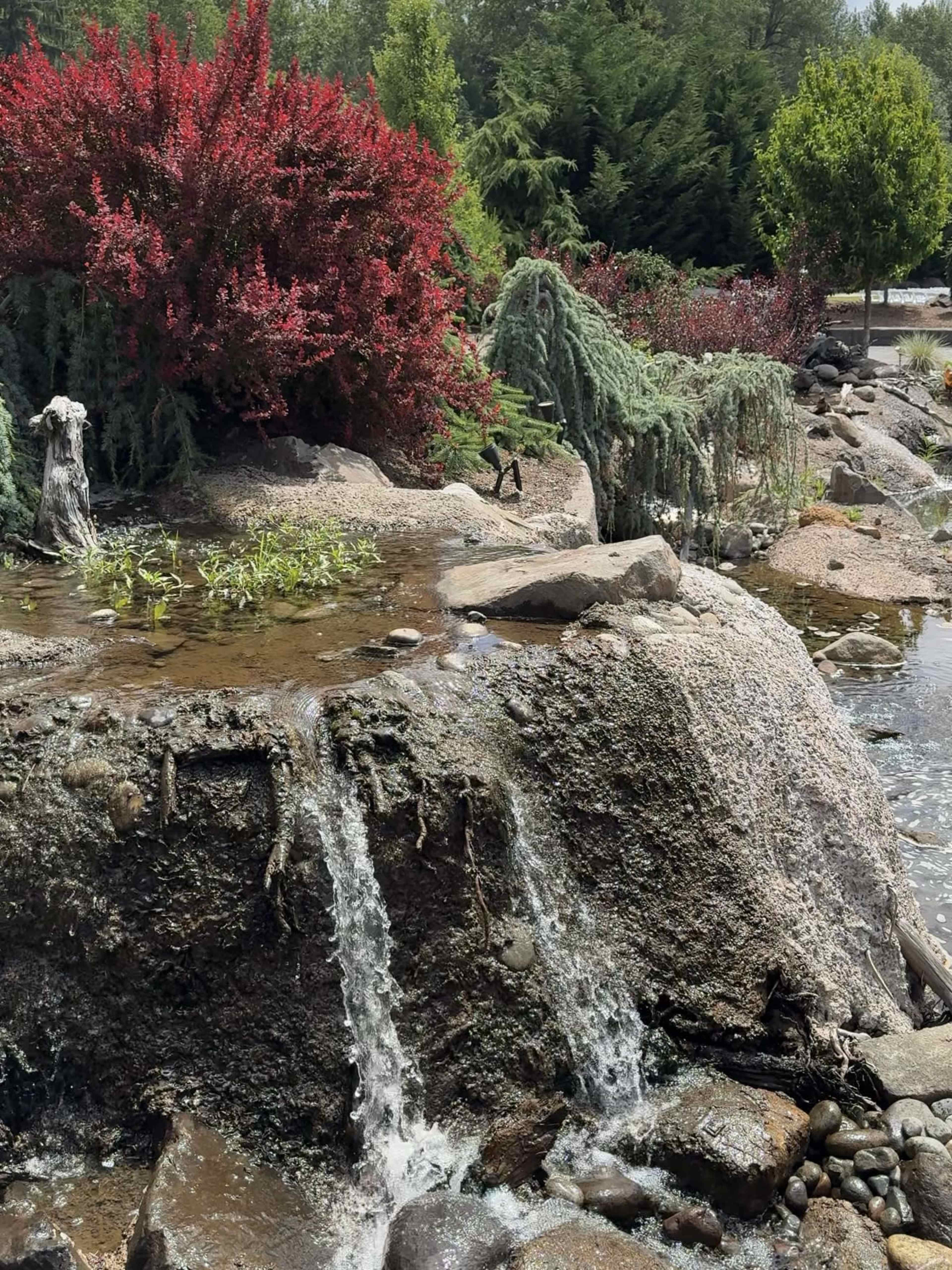 A small waterfall cascades over a rocky surface surrounded by vibrant red and green vegetation.