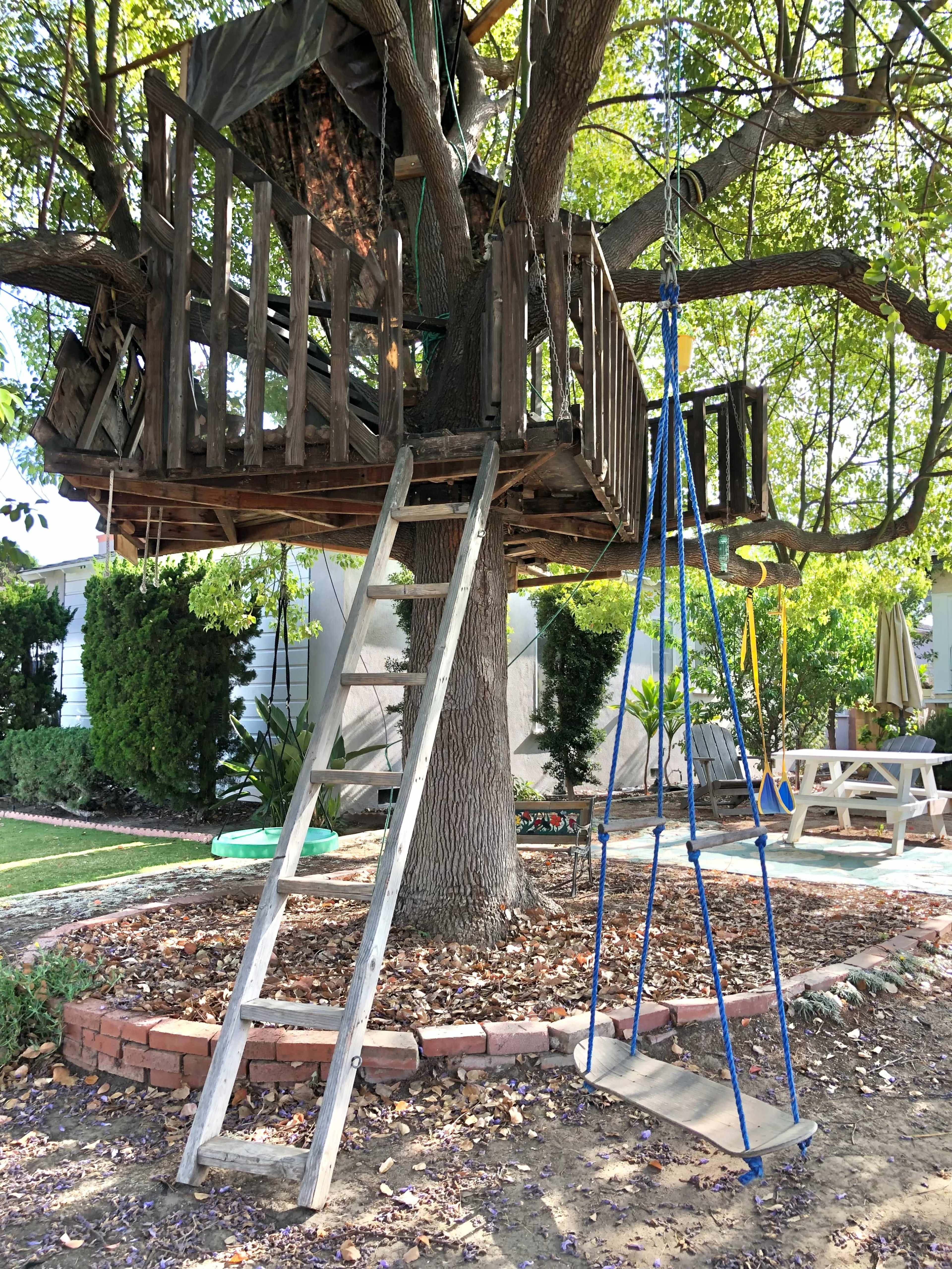 A wooden treehouse built in a tree, accessed by a ladder, with swings nearby on a landscaped lawn.
