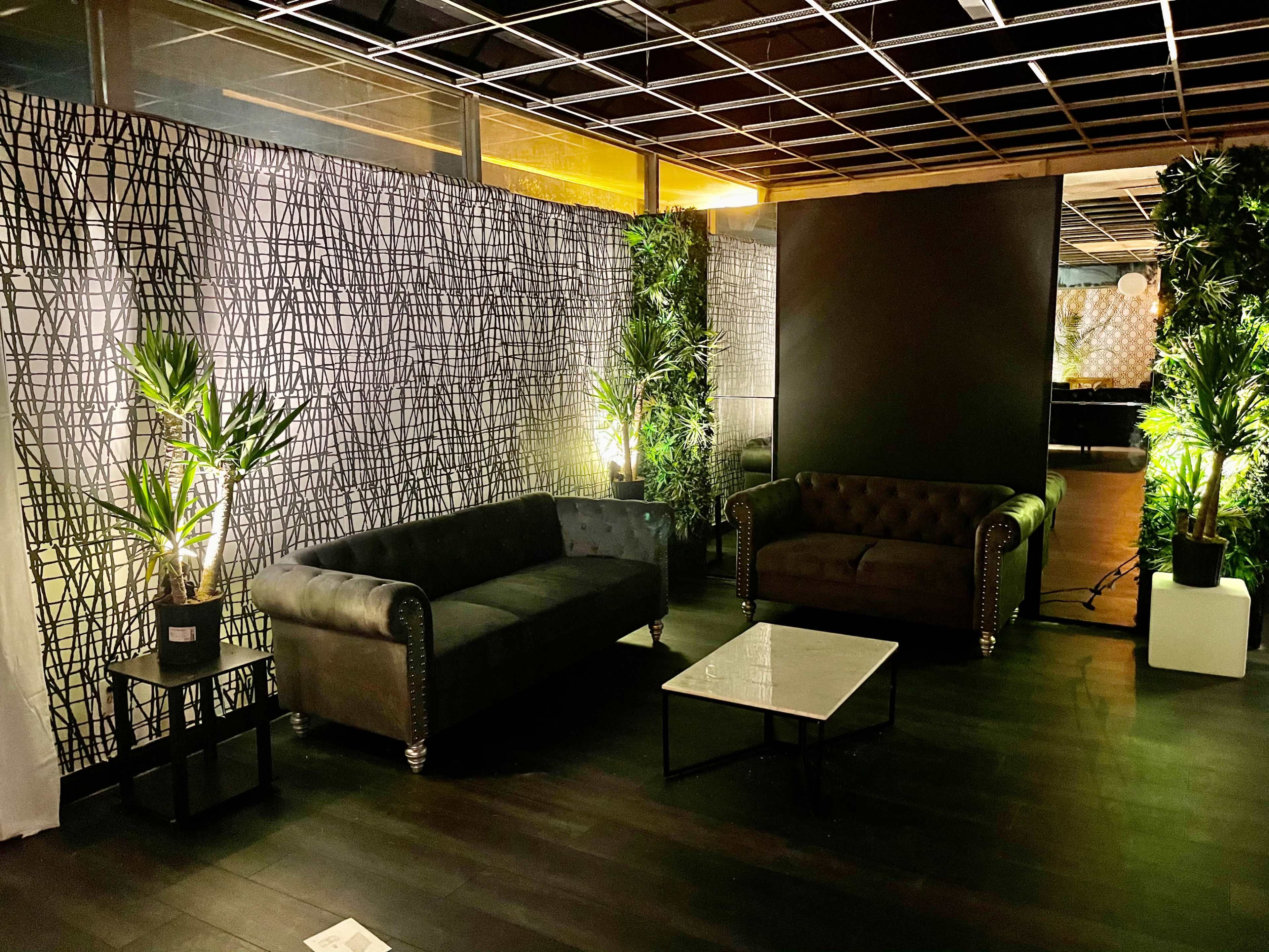 A modern lounge area with two sofas, a coffee table, and indoor plants against a patterned backdrop.