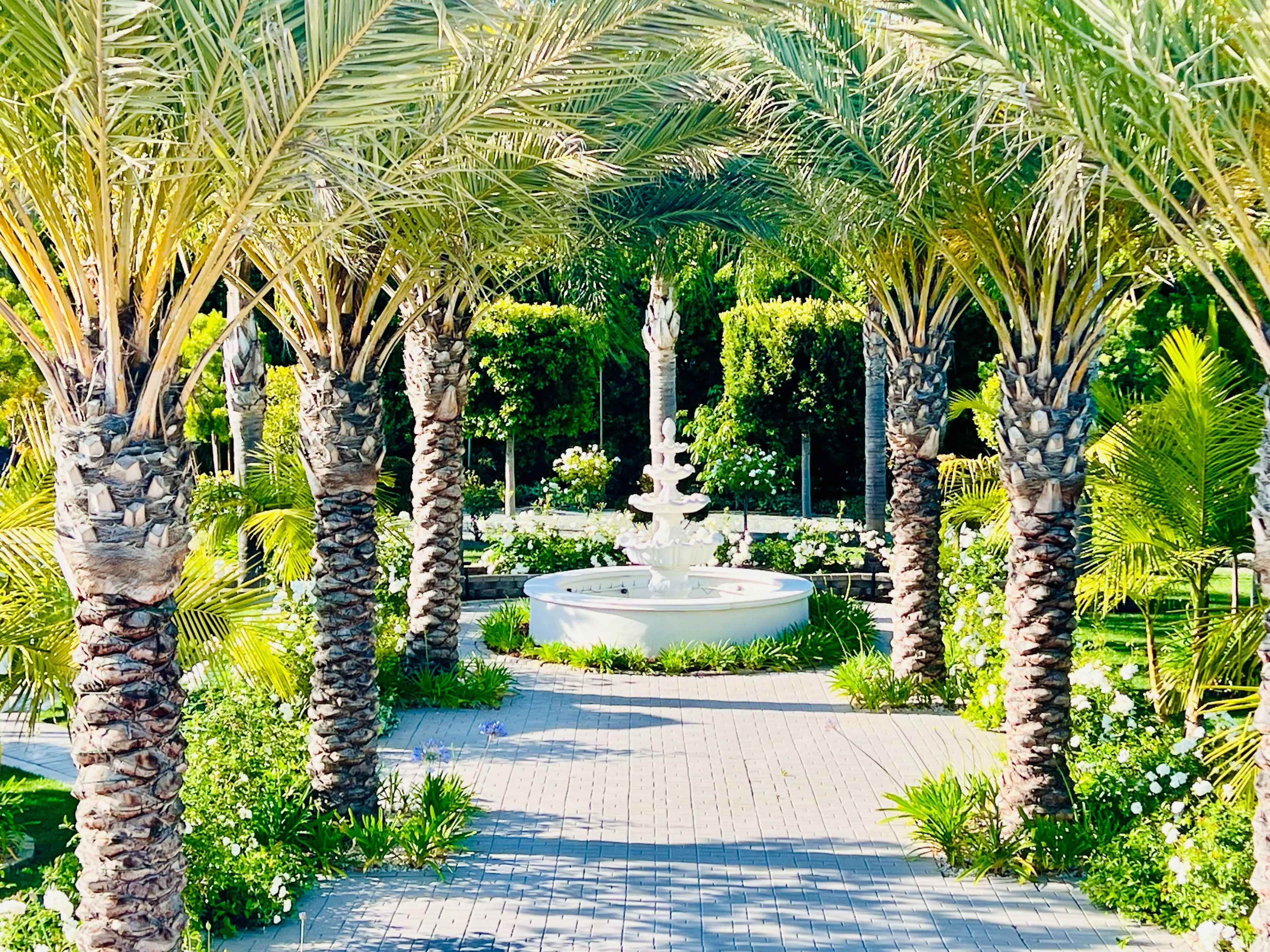 A pathway lined with palm trees leads to a white fountain surrounded by green plants and flowers.