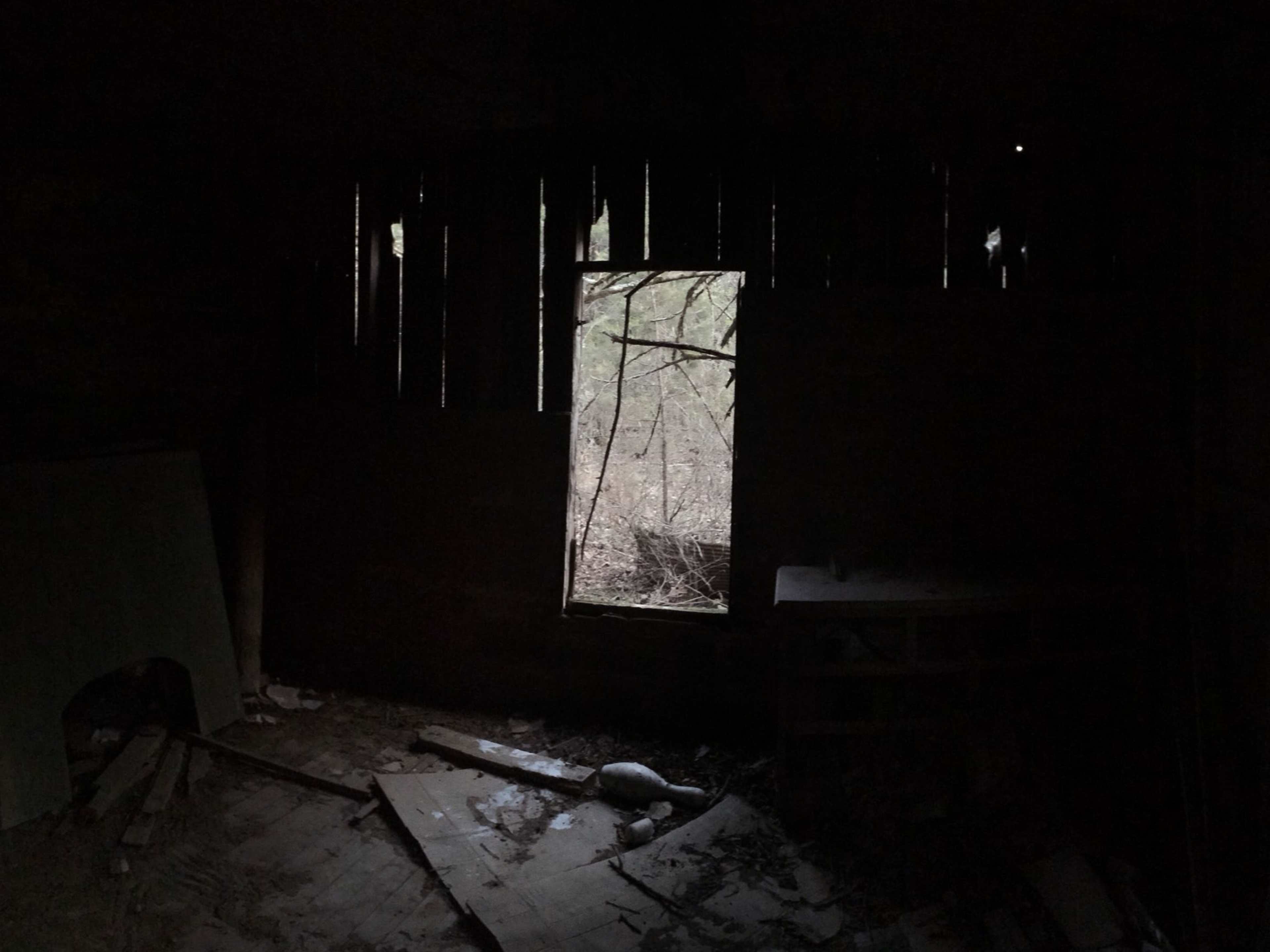 The interior of an abandoned structure is dimly lit, with light filtering through a window surrounded by overgrown foliage.