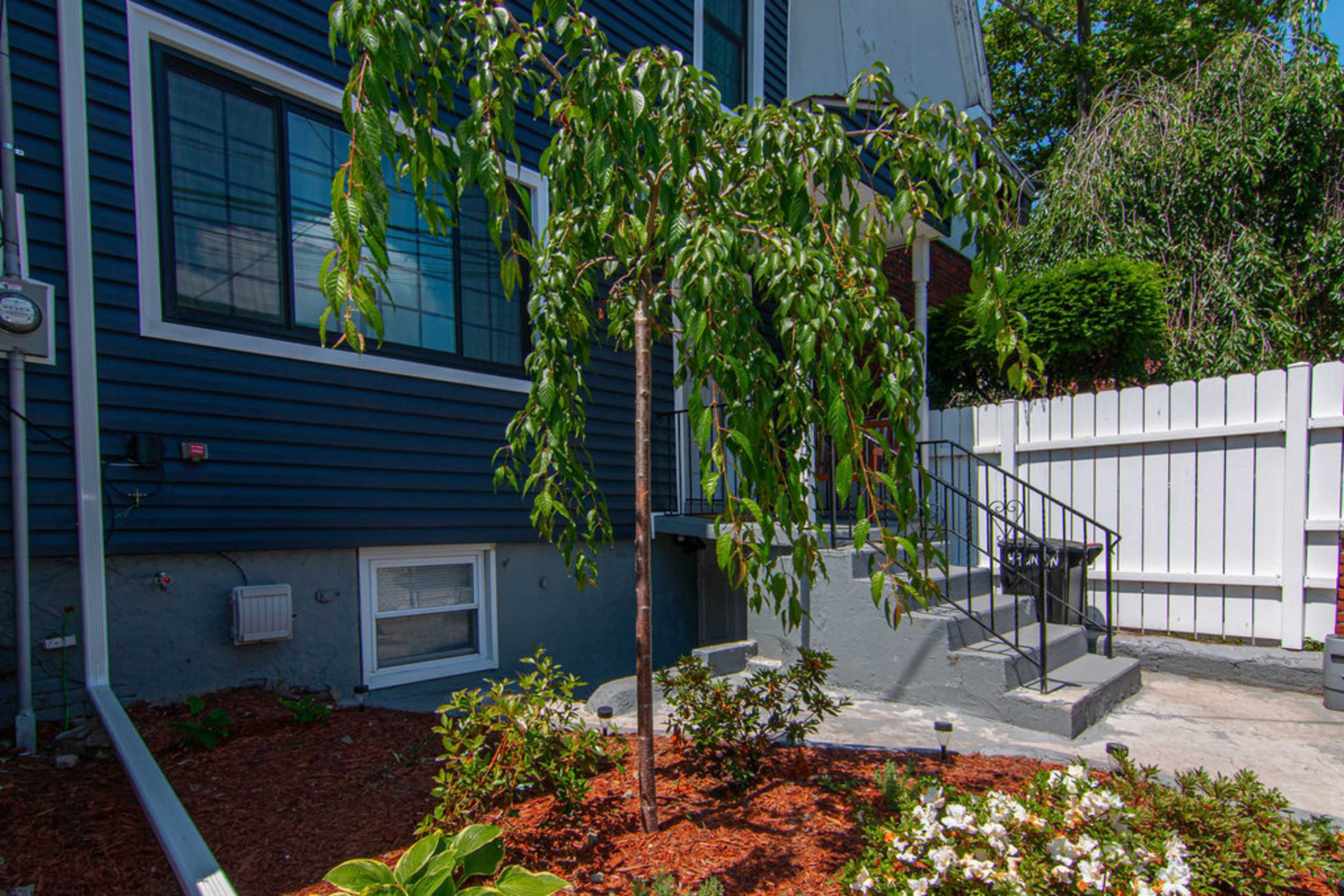 A small tree with drooping branches stands beside a structured walkway and landscaped area in front of a blue house.