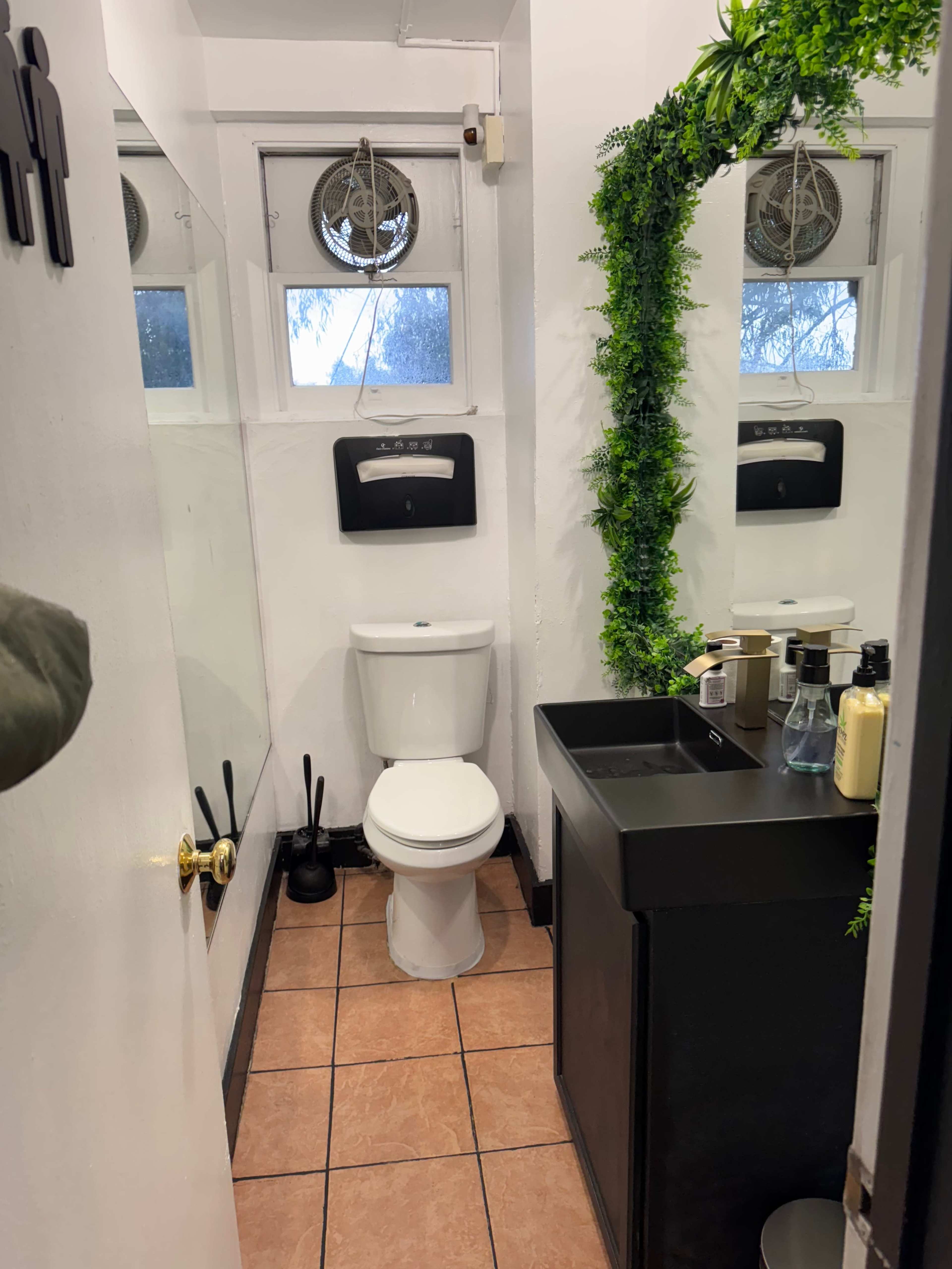 The image shows a small bathroom with a black vanity unit, a white toilet, and a mirrored wall, featuring some greenery decor around the mirror.