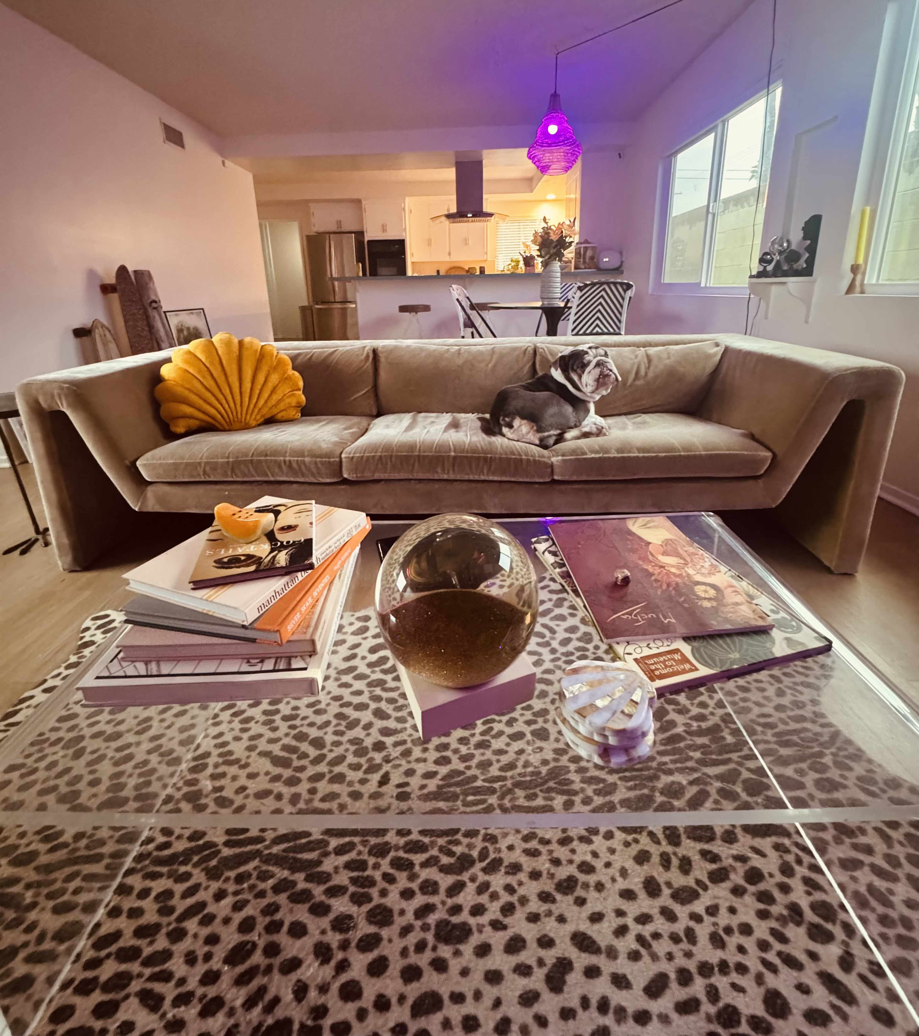 Mid-Century Pool House Image in San Pedro, San Pedro, CA