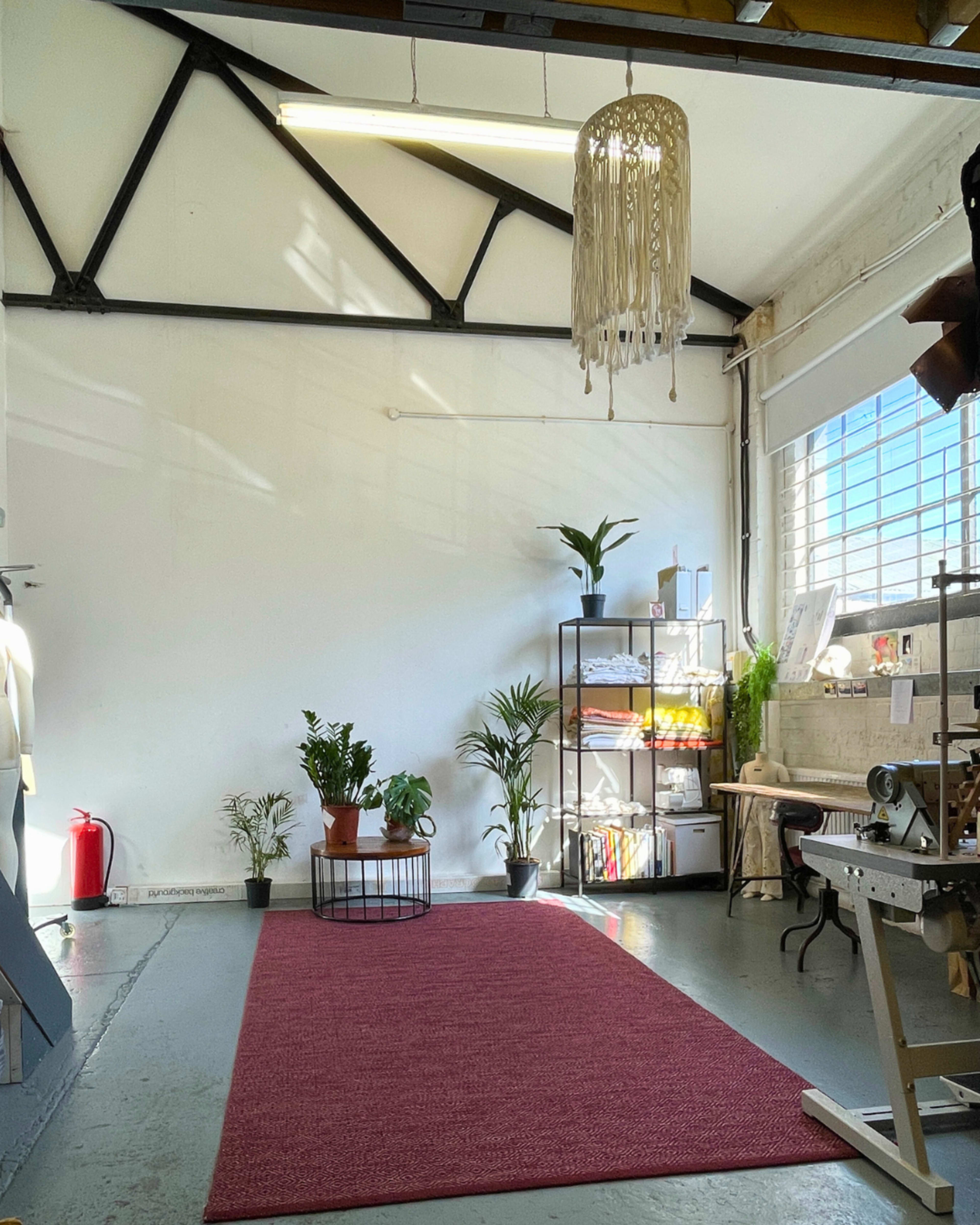 The image shows a bright, minimalist workspace featuring a red rug, a potted plant, a black shelving unit with various items, and large windows allowing natural light.